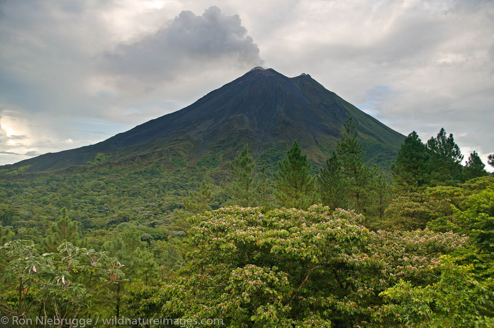 The Arenal Volcano from the Arenal Observatory Lodge which was originally built by the Smithsonian Institute for scientists to...