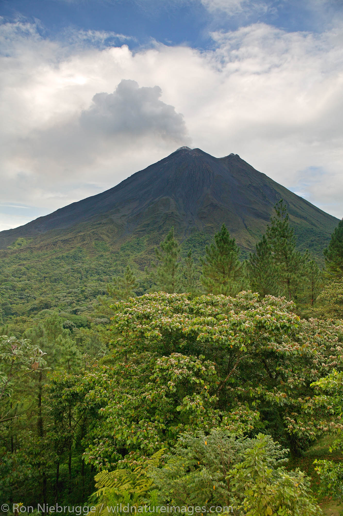 The Arenal Volcano from the Arenal Observatory Lodge which was originally built by the Smithsonian Institute for scientists to...