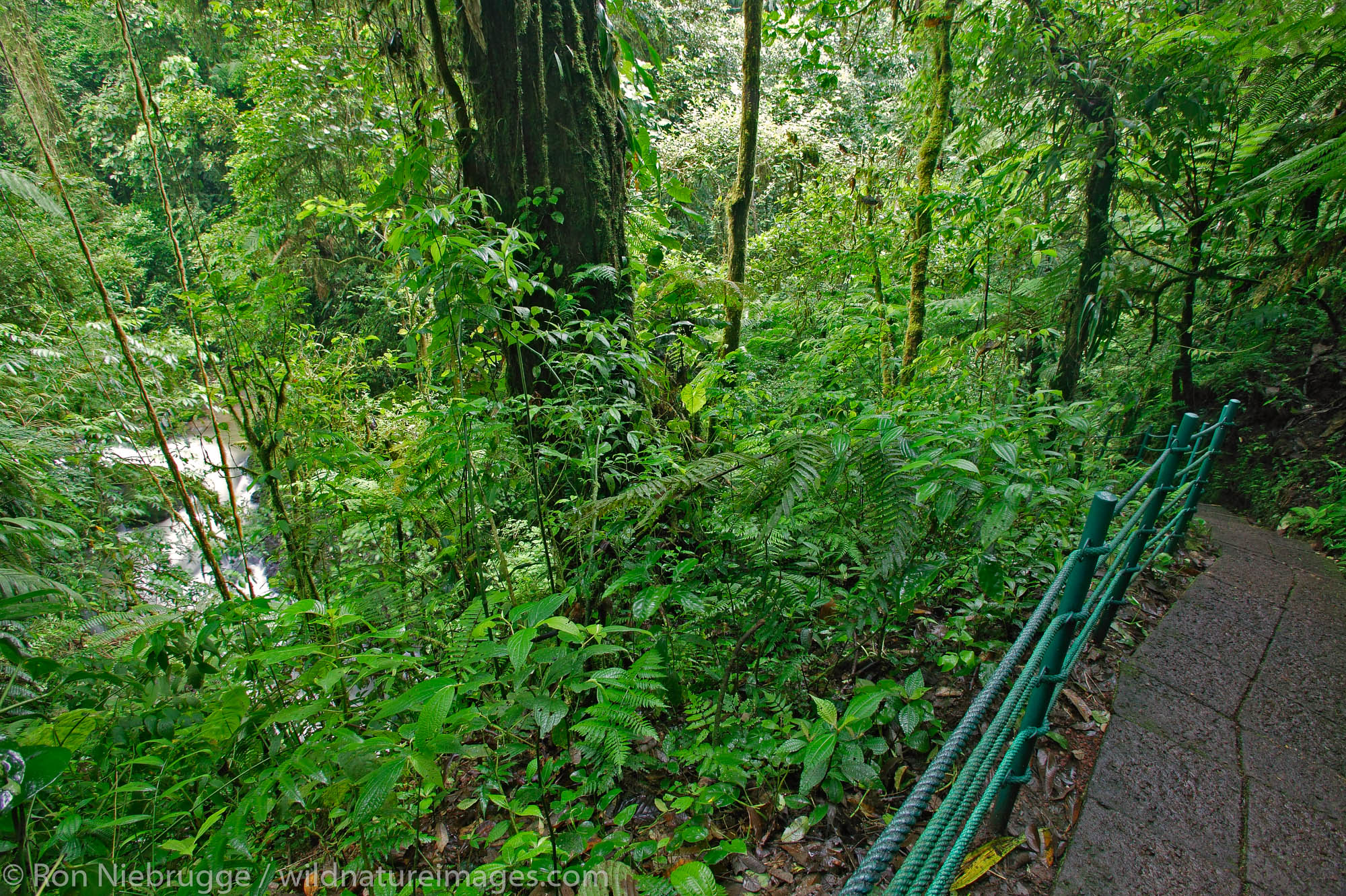 The trail along the La Paz River at the La Paz Waterfall Gardens and Peace Lodge, Costa Rica.