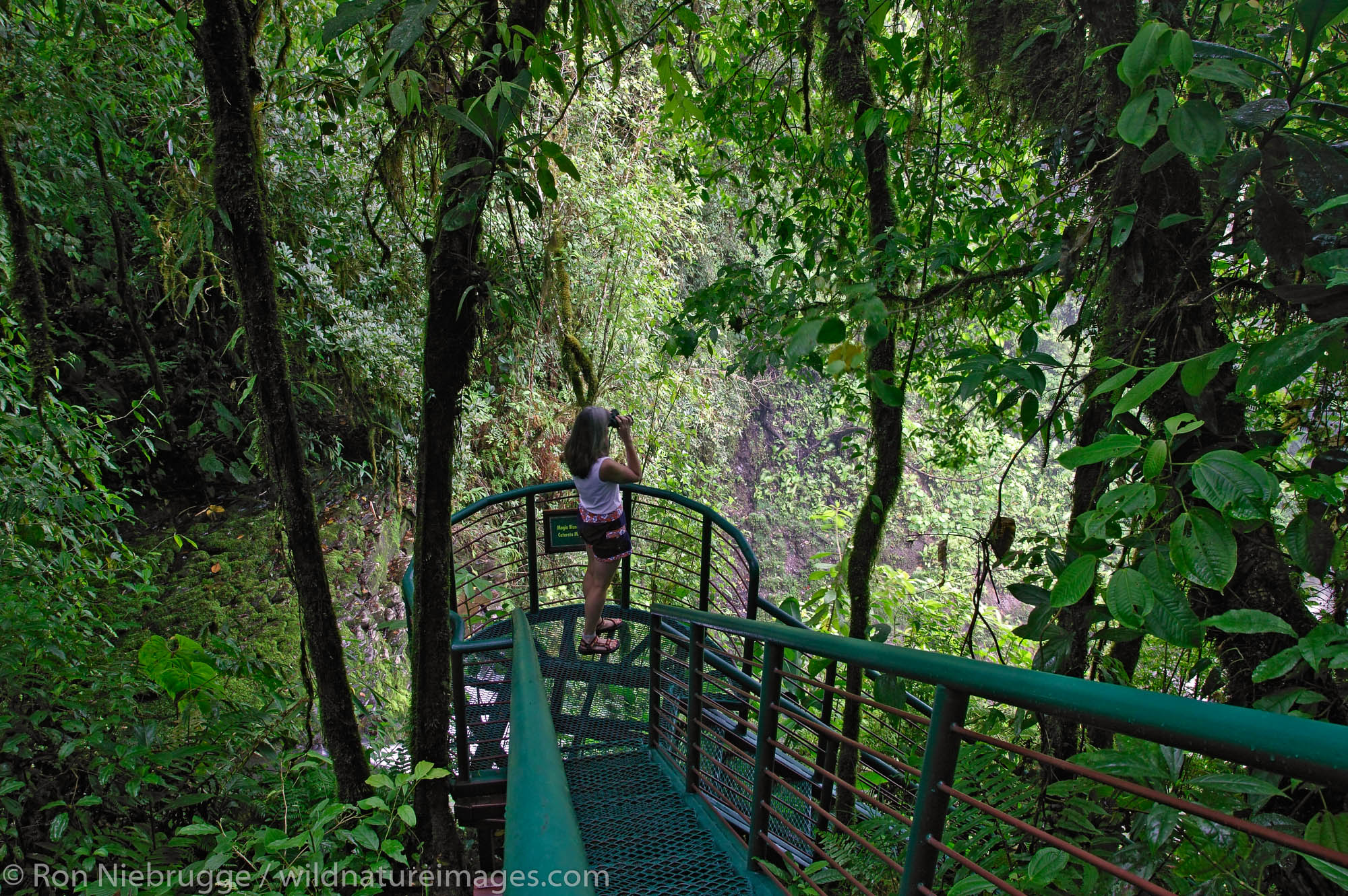 A visitor (MR) on the trail along the La Paz River at the La Paz Waterfall Gardens and Peace Lodge, Costa Rica.