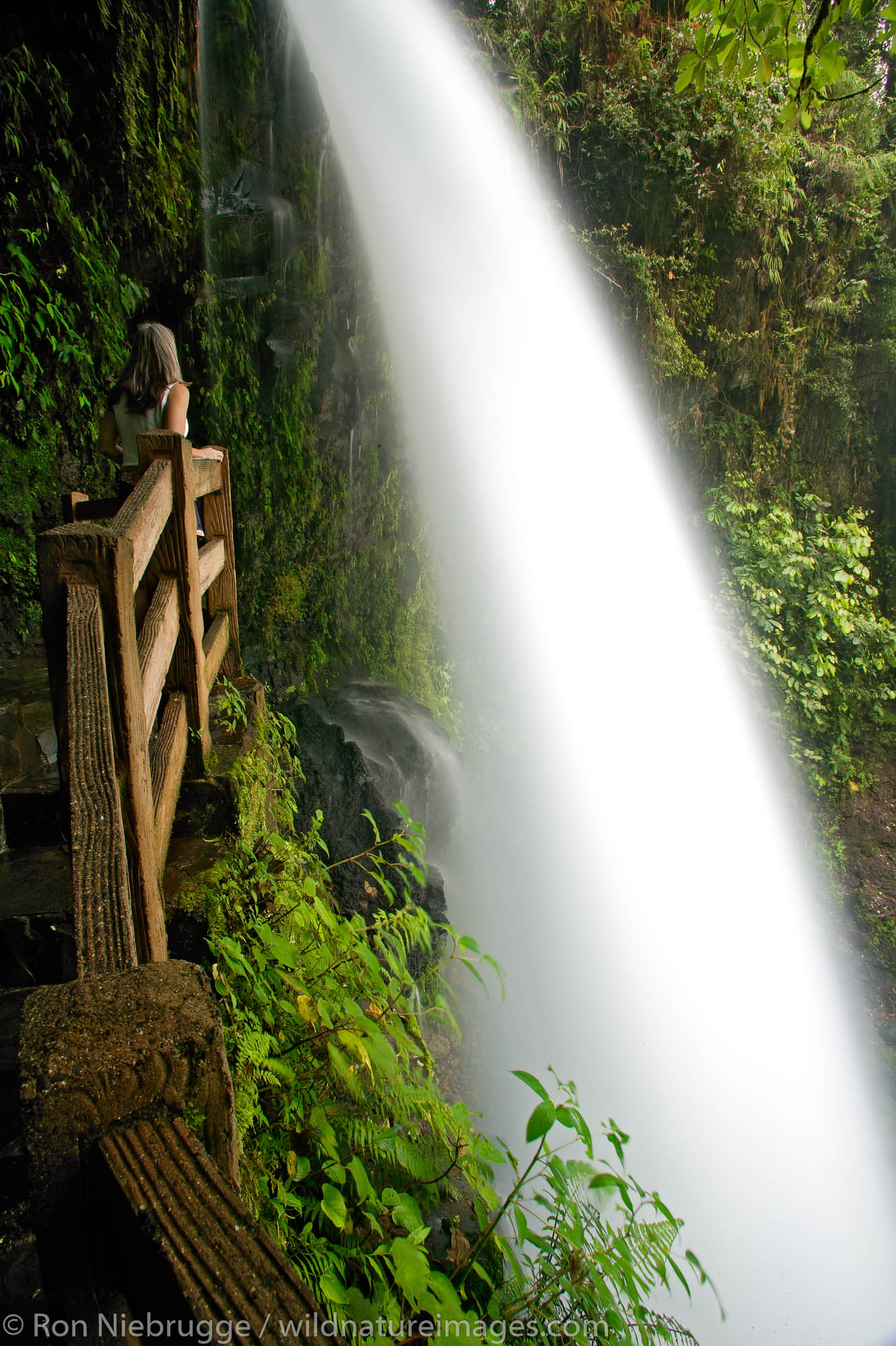 A visitor (MR) on the trail along the La Paz River stops to enjoy the Magia Blanca Fall at the La Paz Waterfall Gardens and Peace...