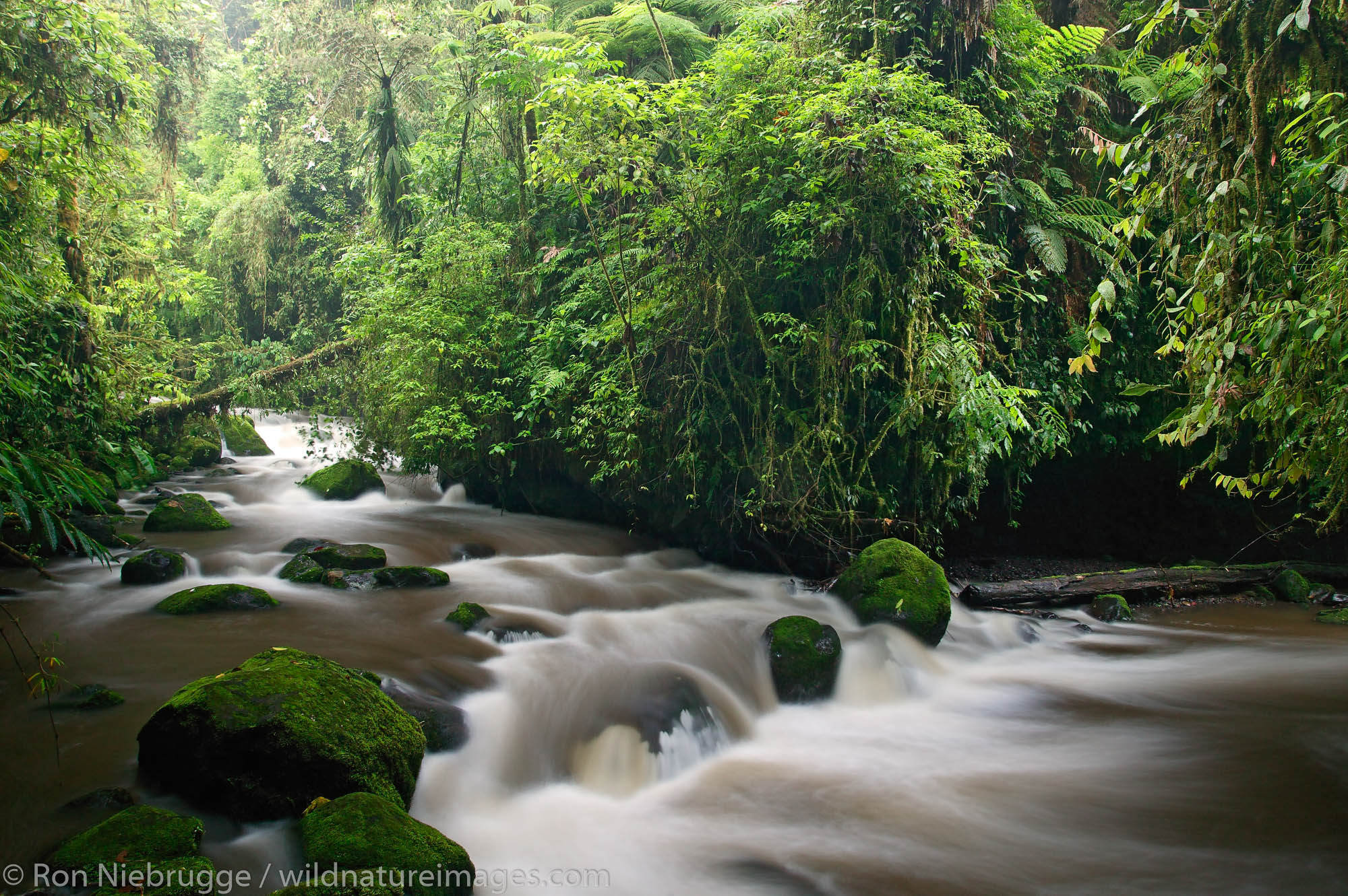 The La Paz River flows along the trail at the La Paz Waterfall Gardens and Peace Lodge, Costa Rica.