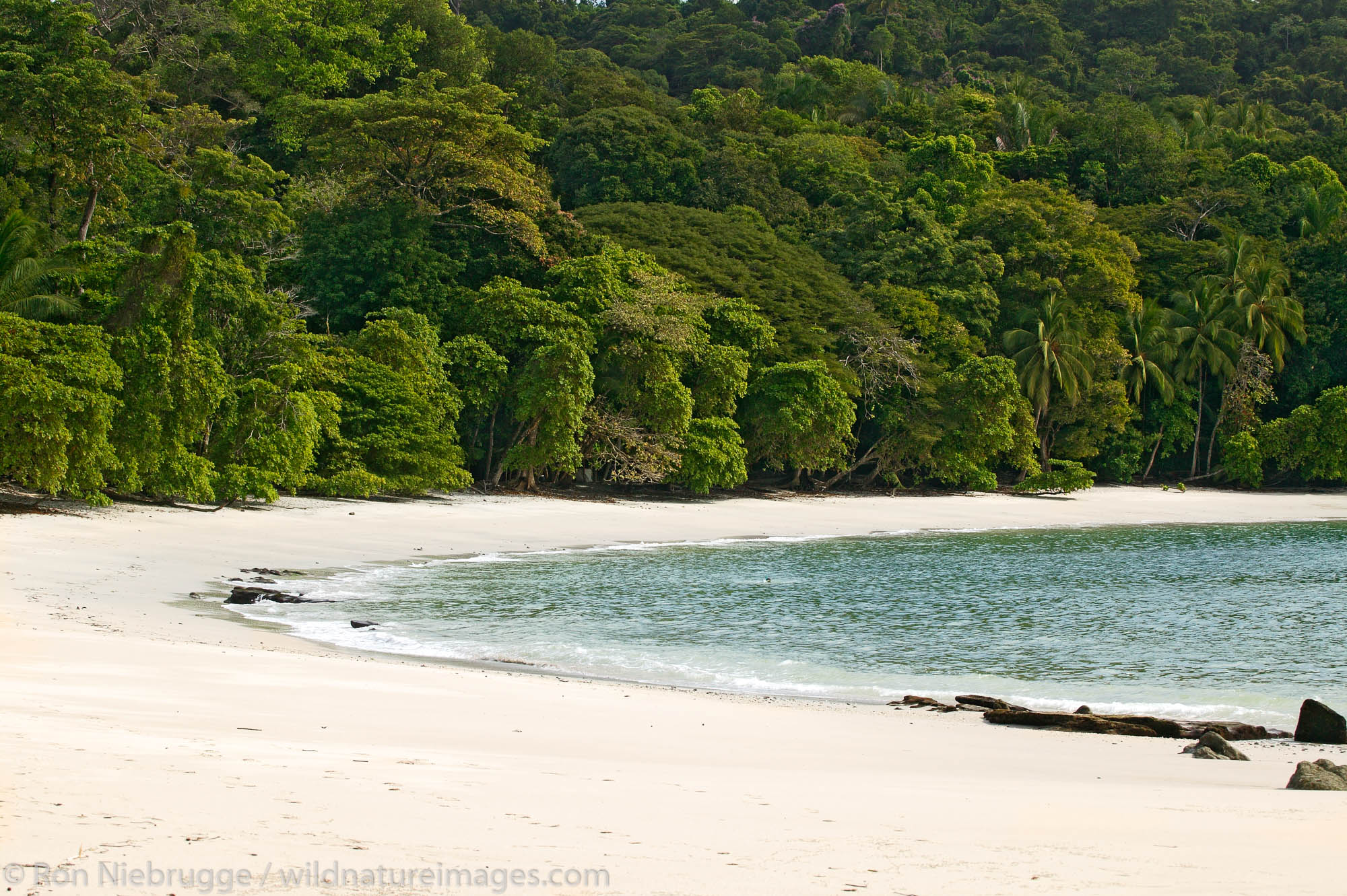 Third Beach, Manuel Antonio National Park, Manuel Antonio, Costa Rica.