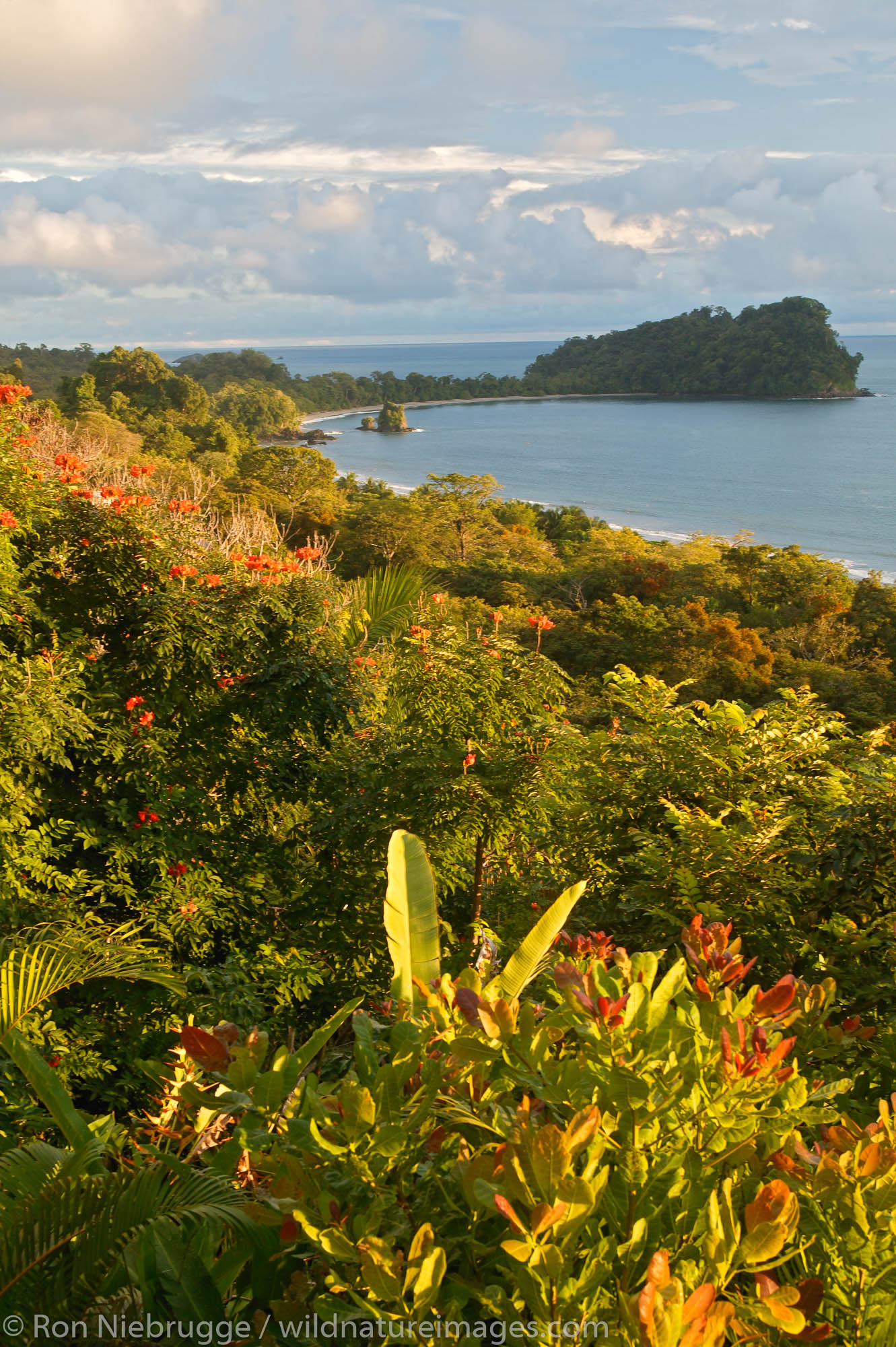 The view of Manuel Antonio National Park's Second Beach and Punta Catedral along with the Pacific Ocean, Manuel Antonio, Costa...