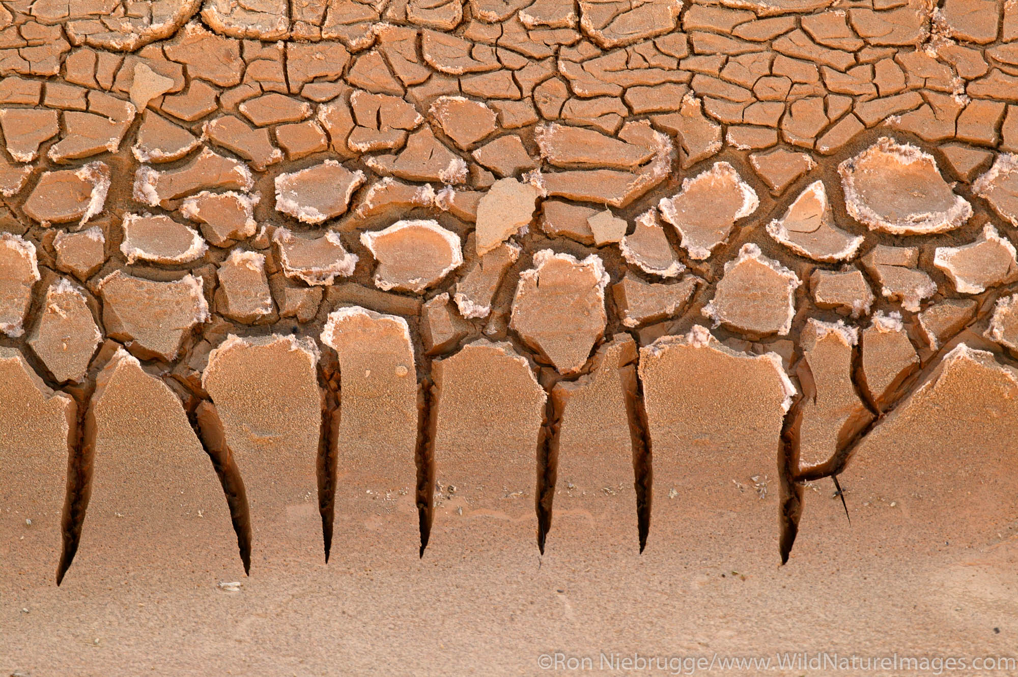 Dried mud in the Amargosa River bed, Death Valley National Park, California.