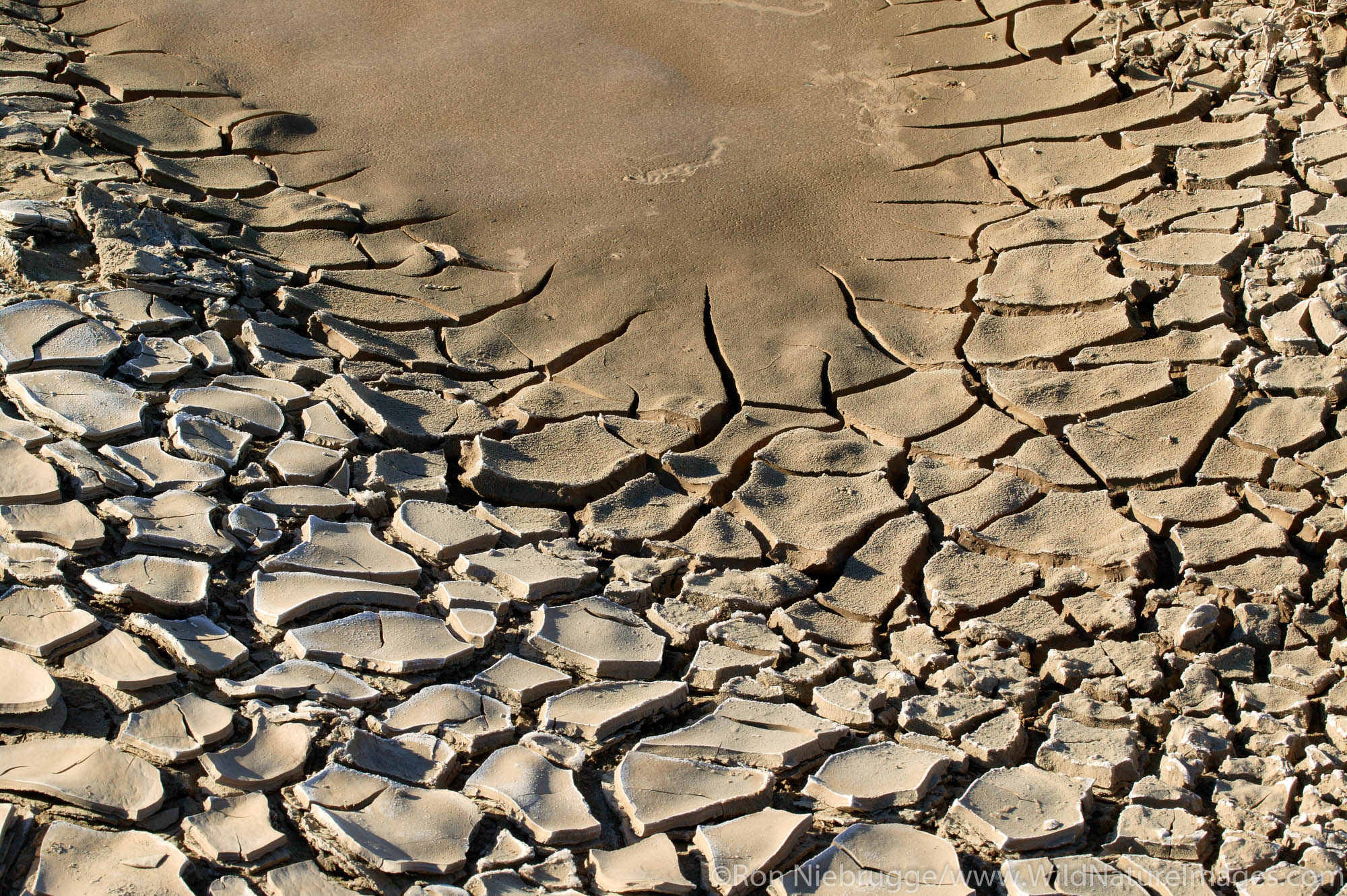 Dried mud in the Amargosa River bed, Death Valley National Park, California.