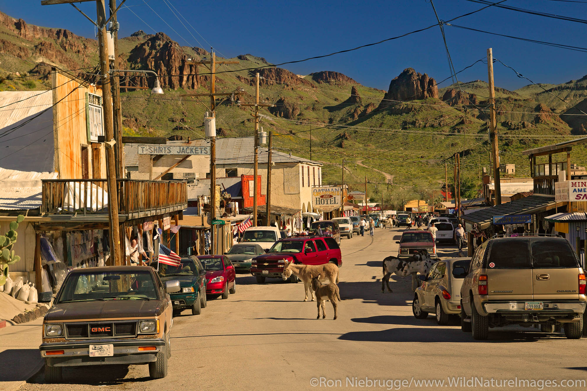 Historic Route 66 passes through Oatman, Arizona where wild burros roam freely in the street.