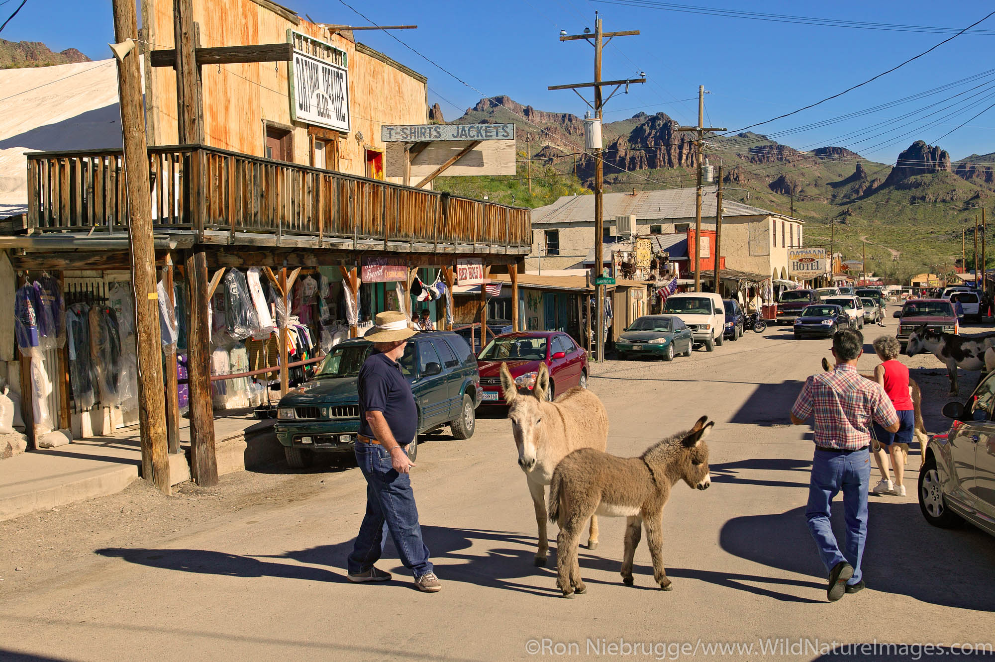 Historic Route 66 passes through Oatman, Arizona where wild burros roam freely in the street.