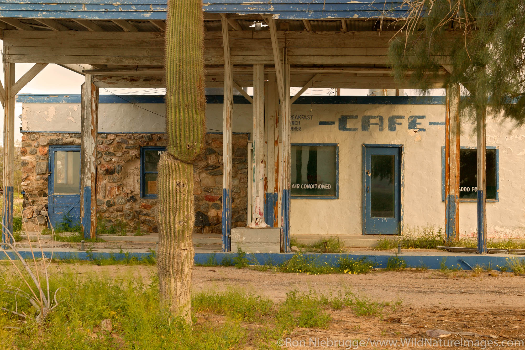 An old abandoned service station and cafe along Route 66, Essex, California.