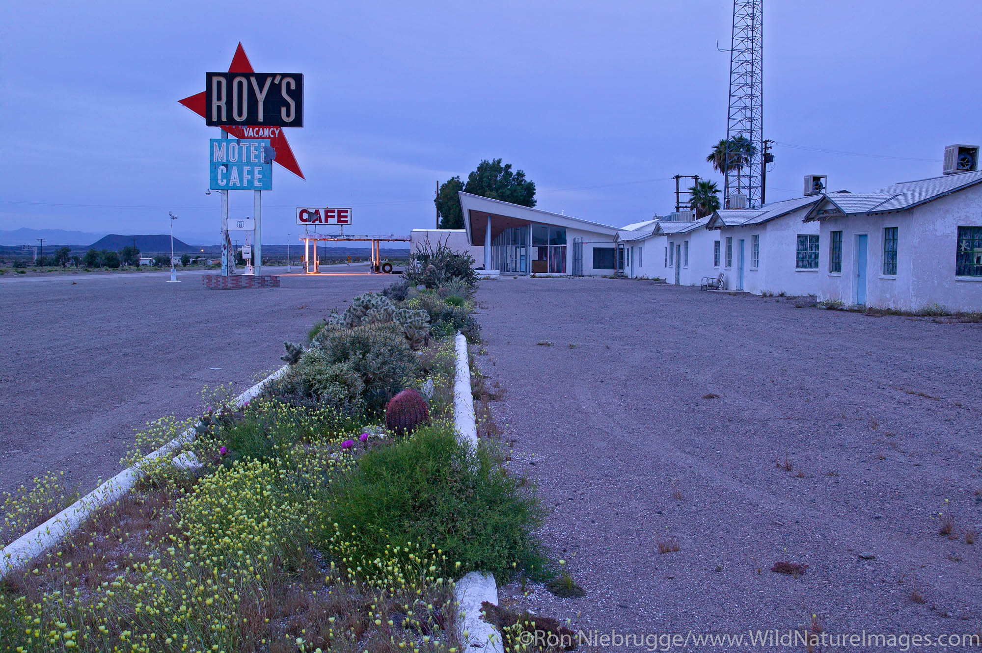 Roy's Cafe, motel and gas station along Route 66, Amboy, California.