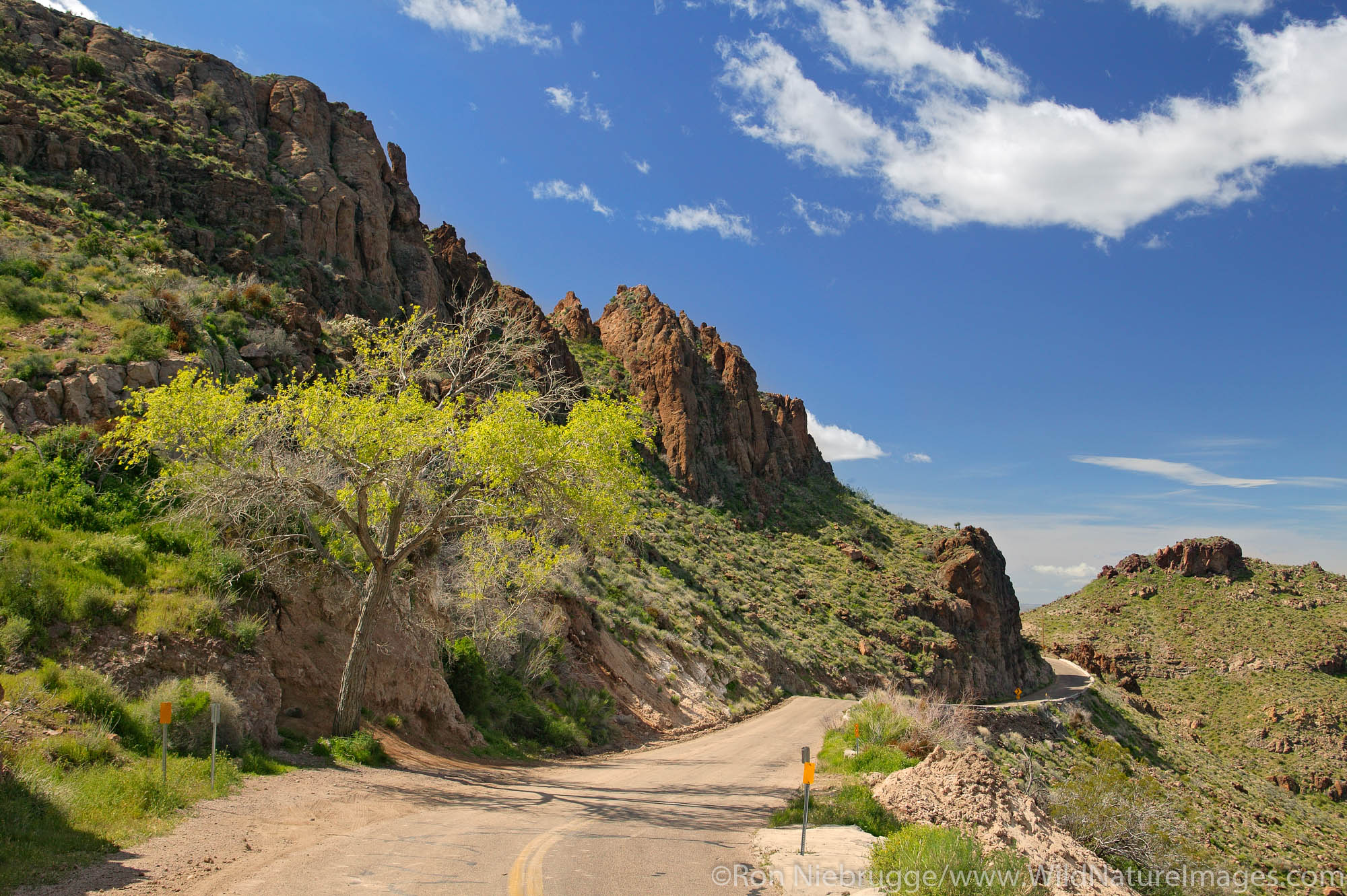 A spring along Route 66, near Oatman, Arizona.