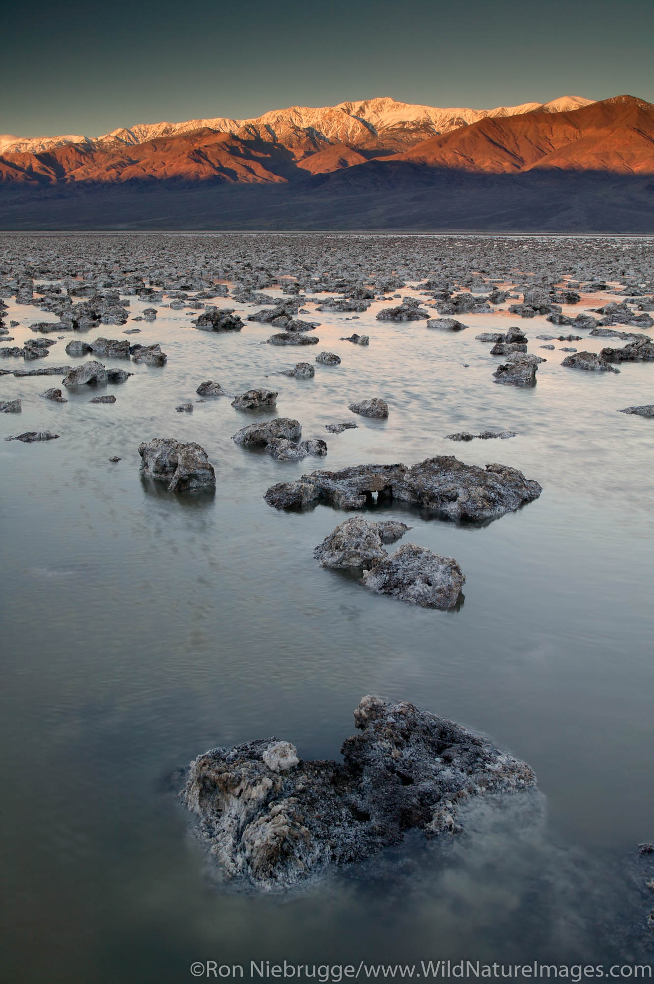 Water from the heavy rains during the winter of 2004-2005 at the Devils Golf Course at sunrise in the Badwater Basin, Death Valley...