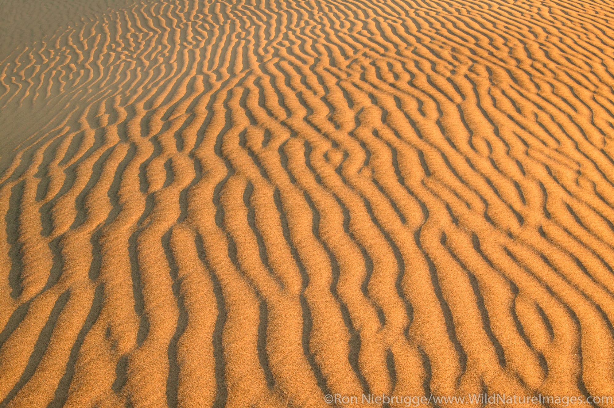 Sand dunes near Stovepipe Wells, Death Valley National Park, California.