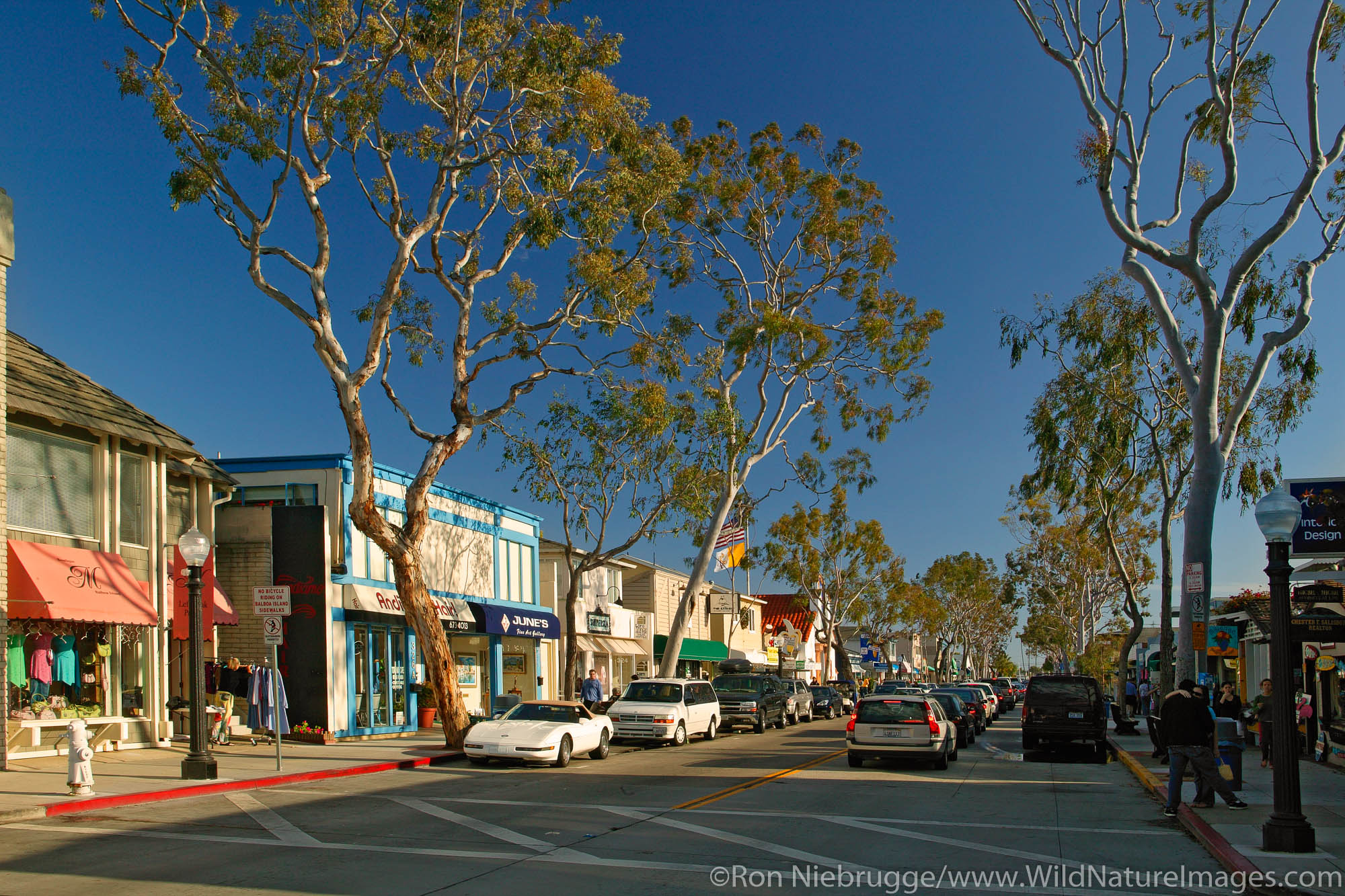 Balboa Island, Newport Beach, California.