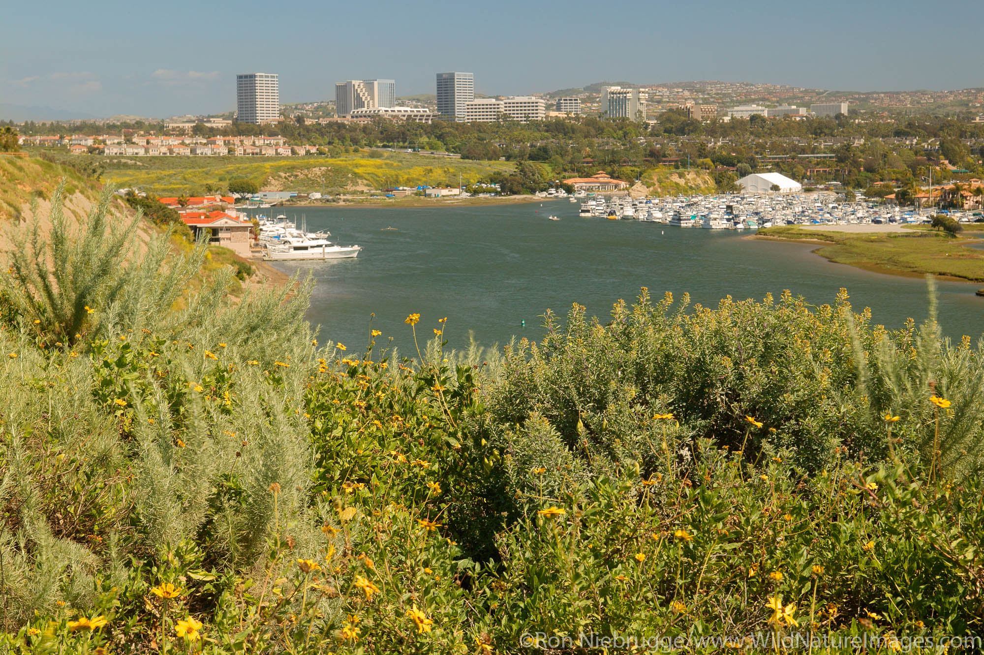 Fashion Island from a bike trail accross the Back Bay, Newport Beach, California.