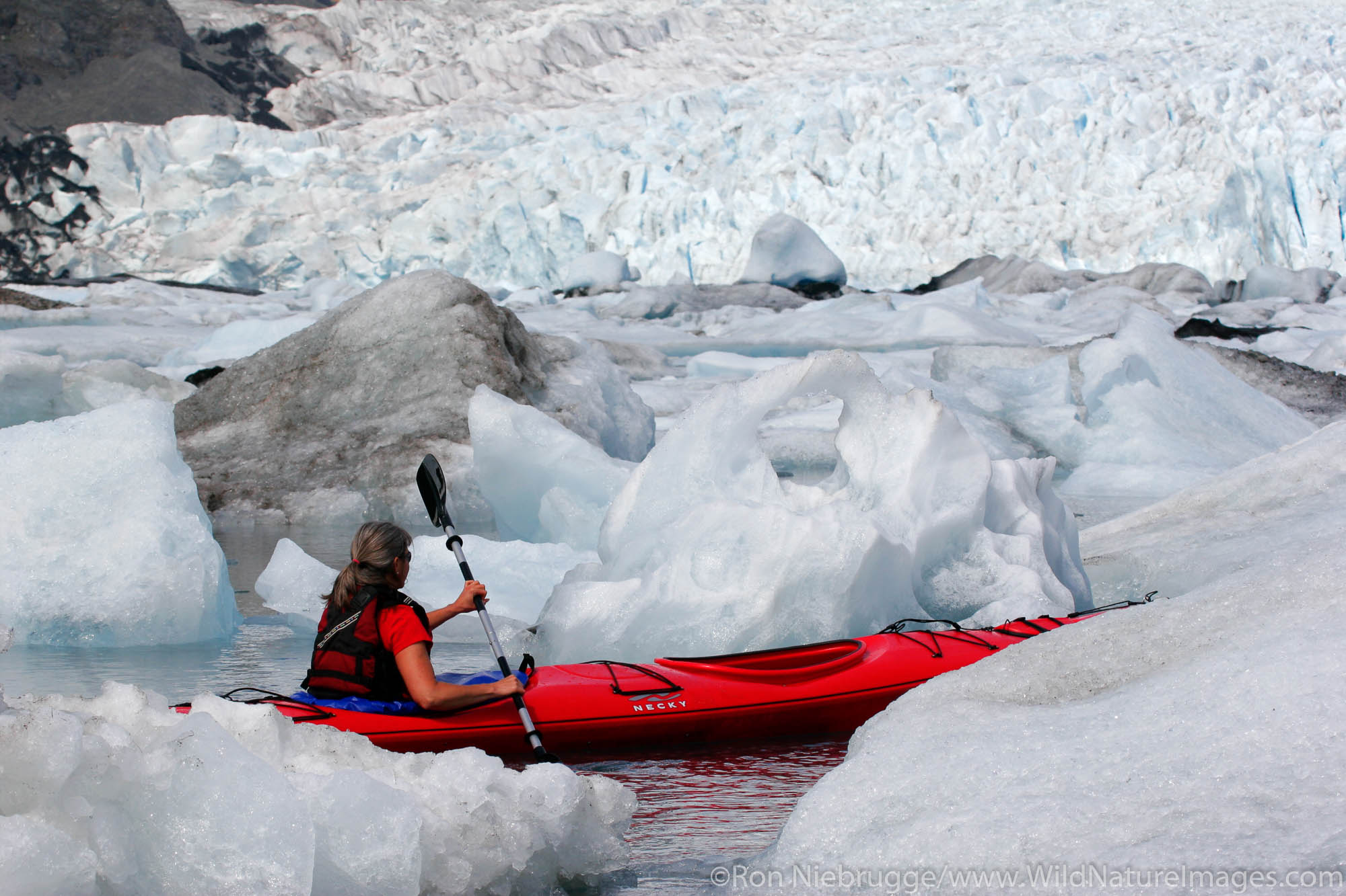 Kayaking in Pedersen Lagoon, Kenai Fjords National Park, Alaska. (model released)
