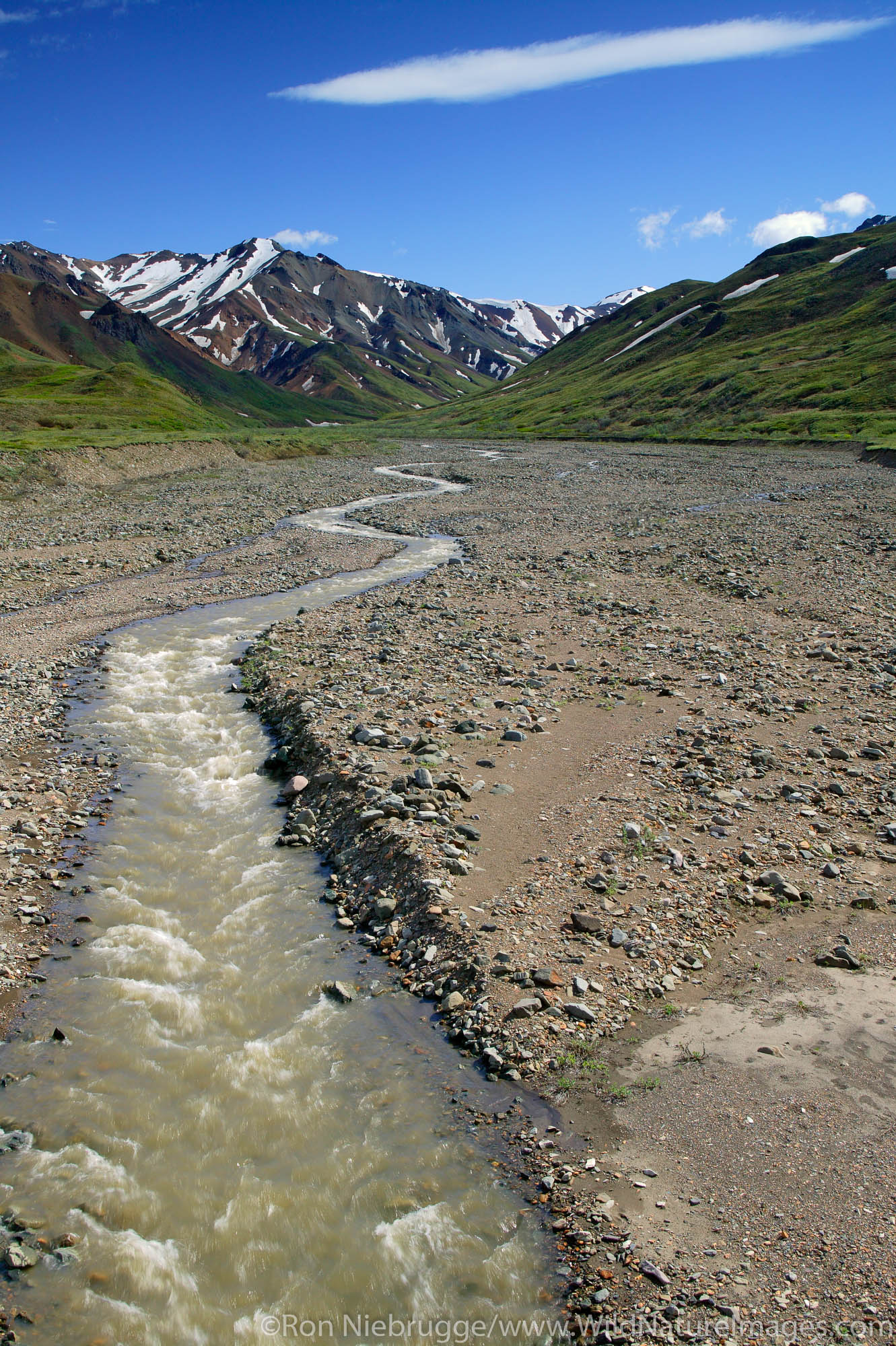 Looking south up Stony Creek, Denali National Park, Alaska.