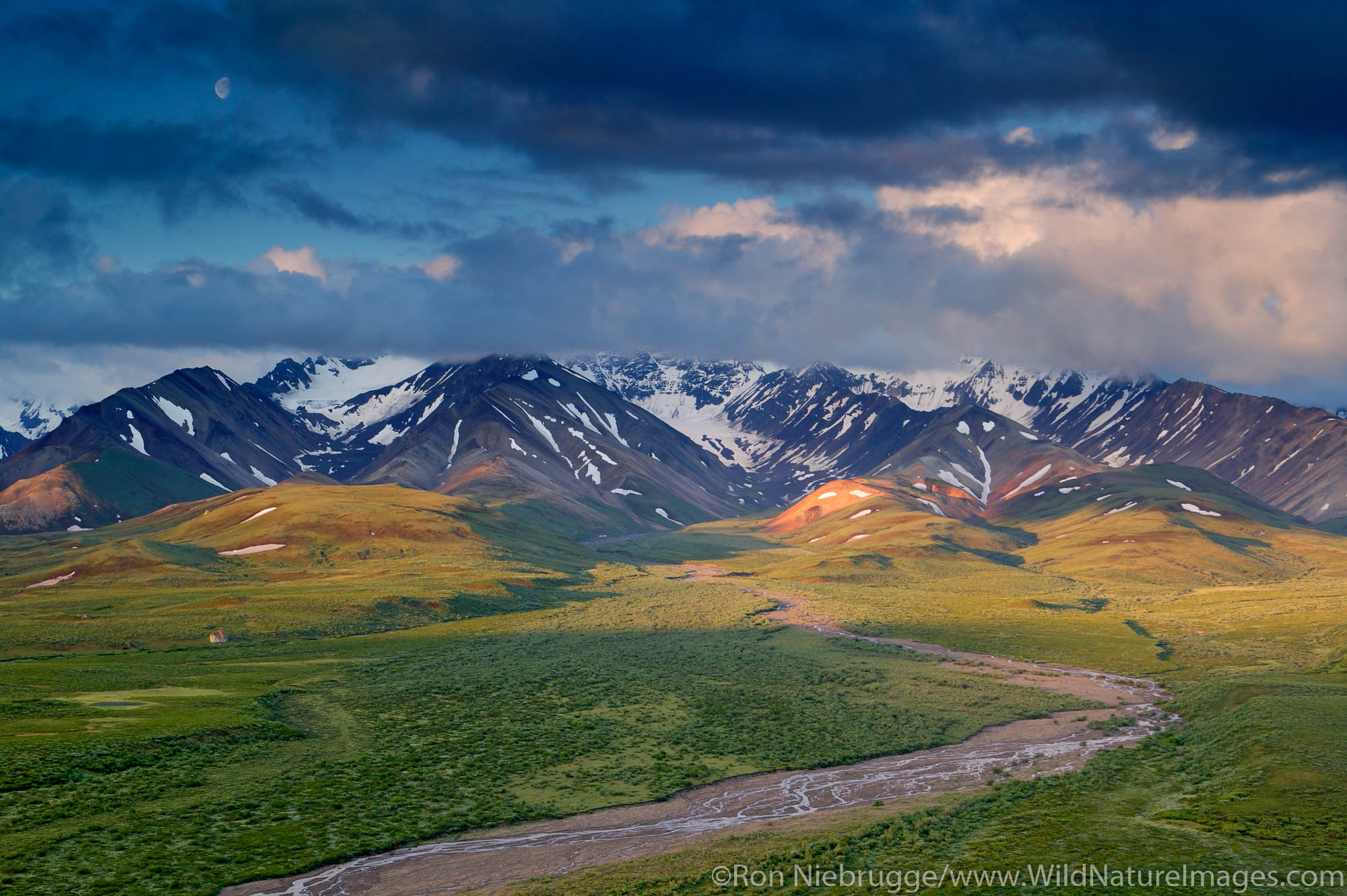 Polychrome Pass at sunrise, Denali National Park, Alaska.