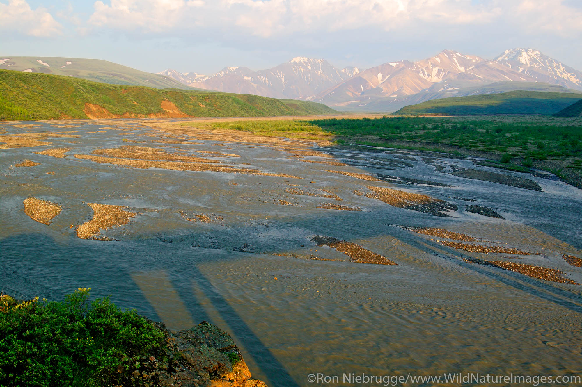 East Fork Toklat River, Denali National Park, Alaska.