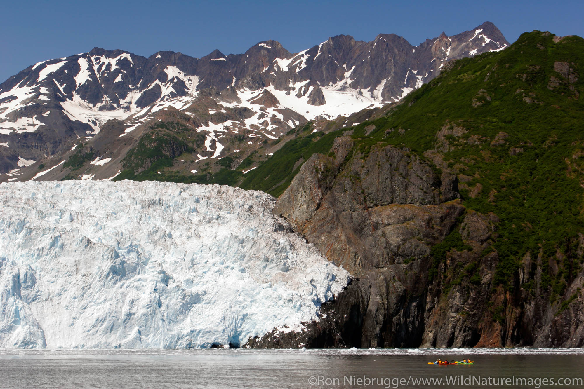 Kayakers in front of Aialik Glacier, Aialik Bay, Kenai Fjords National Park, Alaska.