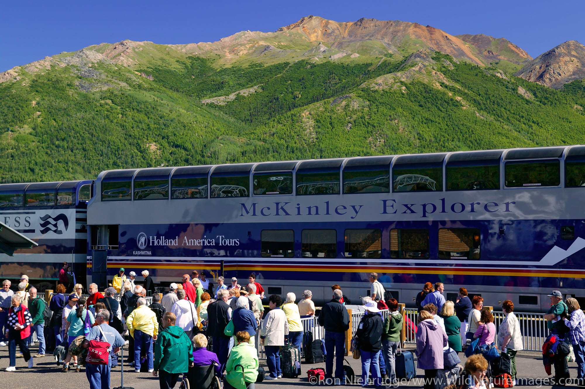 Buses at the Railroad Depot, Denali National Park, Alaska.