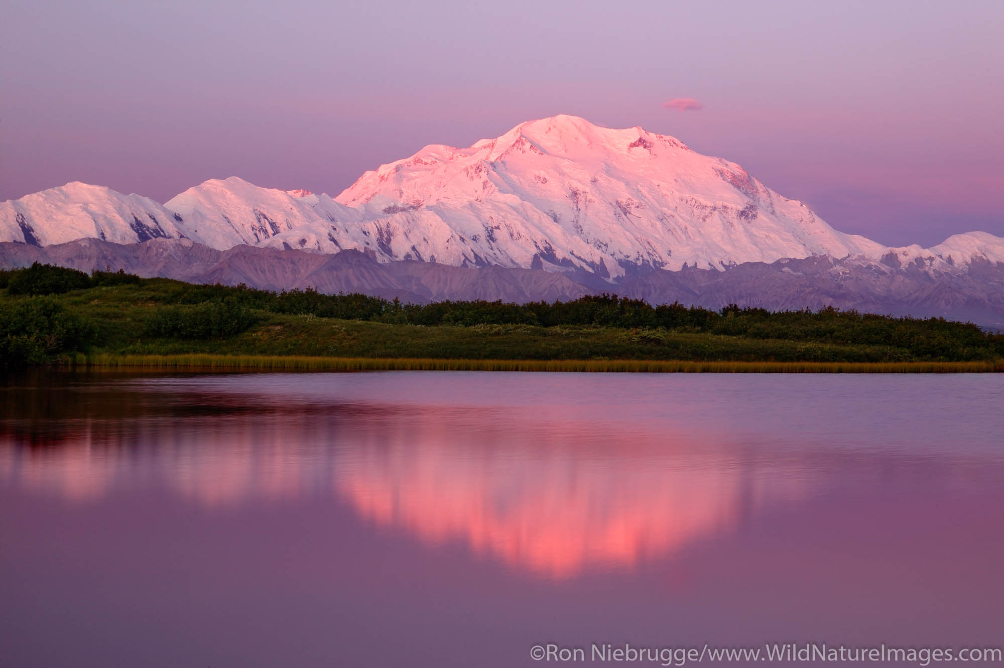 Mt. McKinley from Reflection Pond, Denali National Park, Alaska.