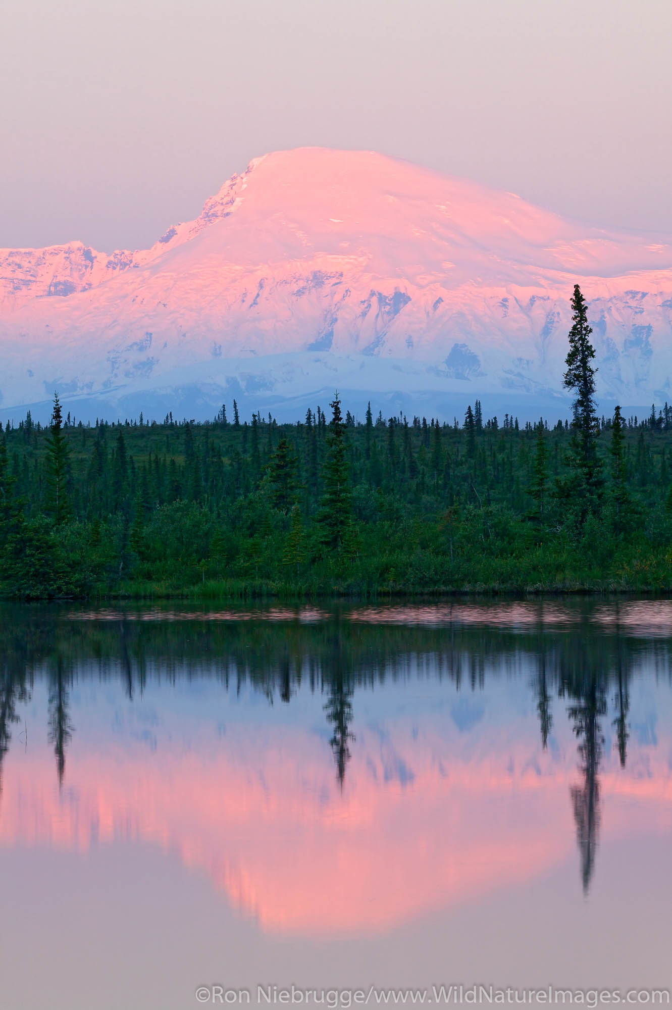 Mt. Sanford (16,237 feet) at sunrise from Rock Lake along the Nabesna Road, Wrangell-St Elias National Park, Alaska.