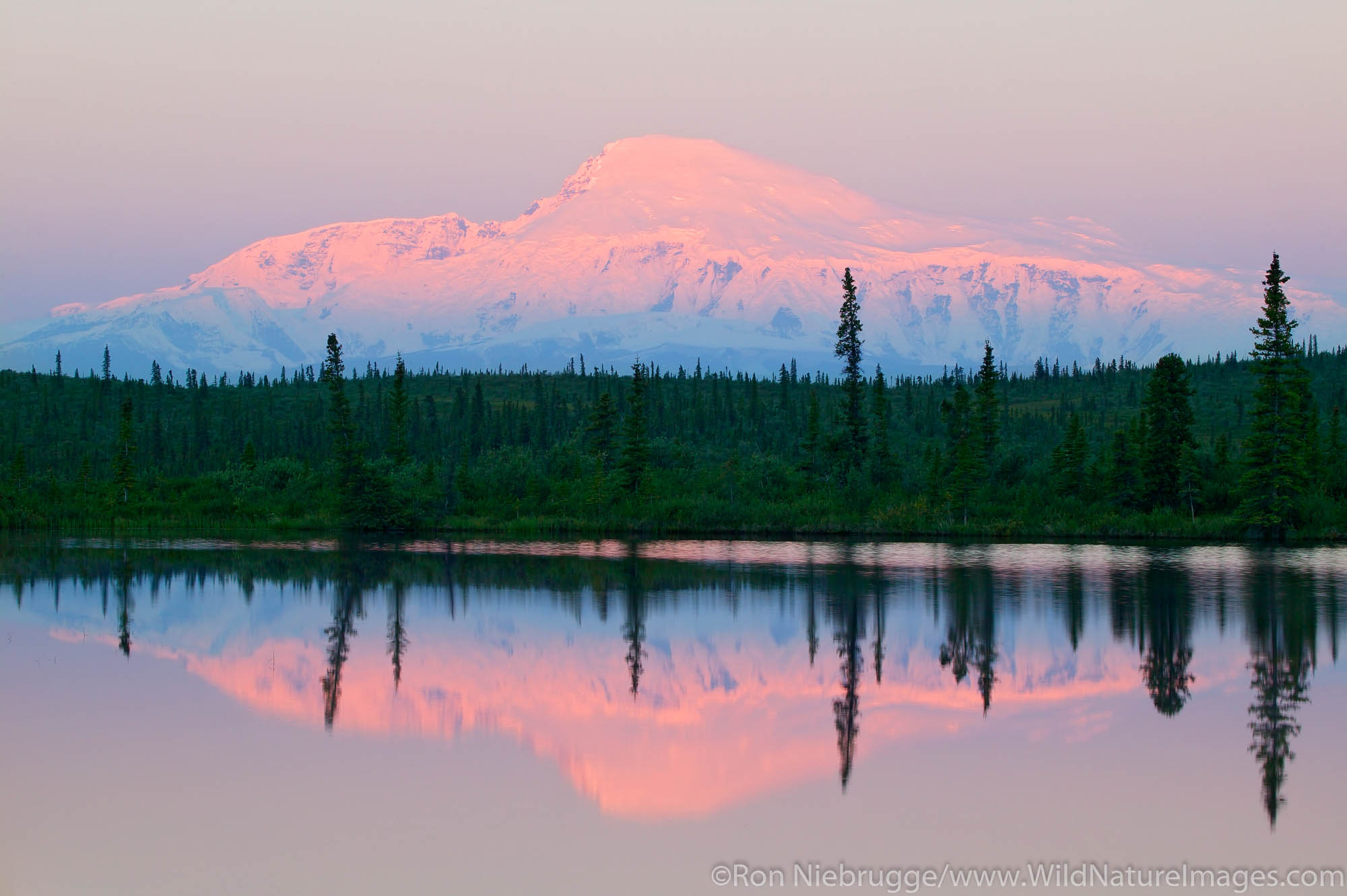 Mt. Sanford (16,237 feet) at sunrise from Rock Lake along the Nabesna Road, Wrangell-St Elias National Park, Alaska.