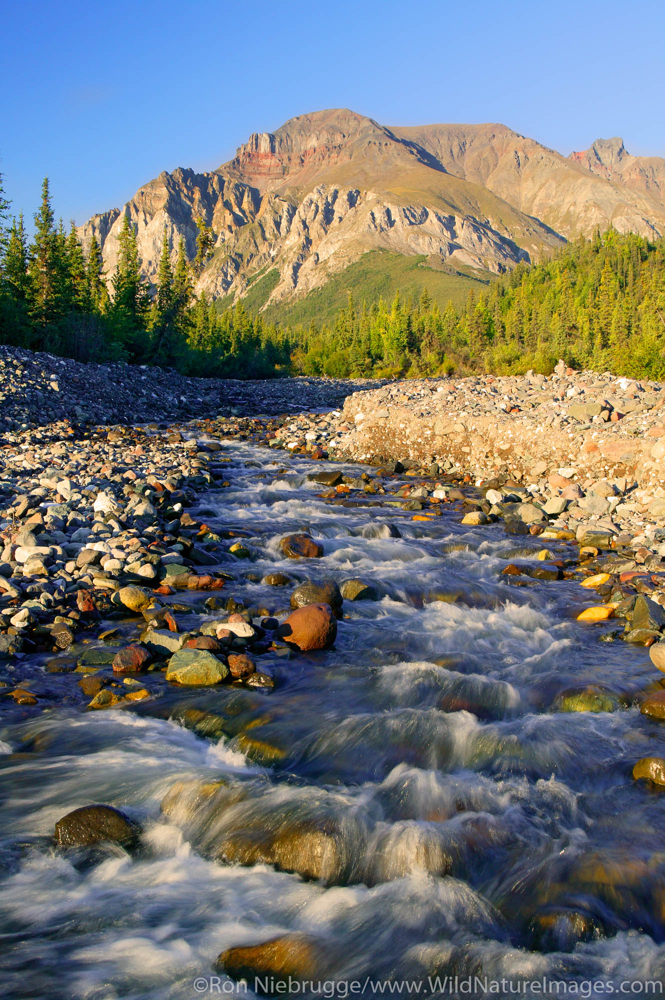 White Mountain and a creek along the Nabesna Road, Wrangell-St Elias National Park, Alaska.