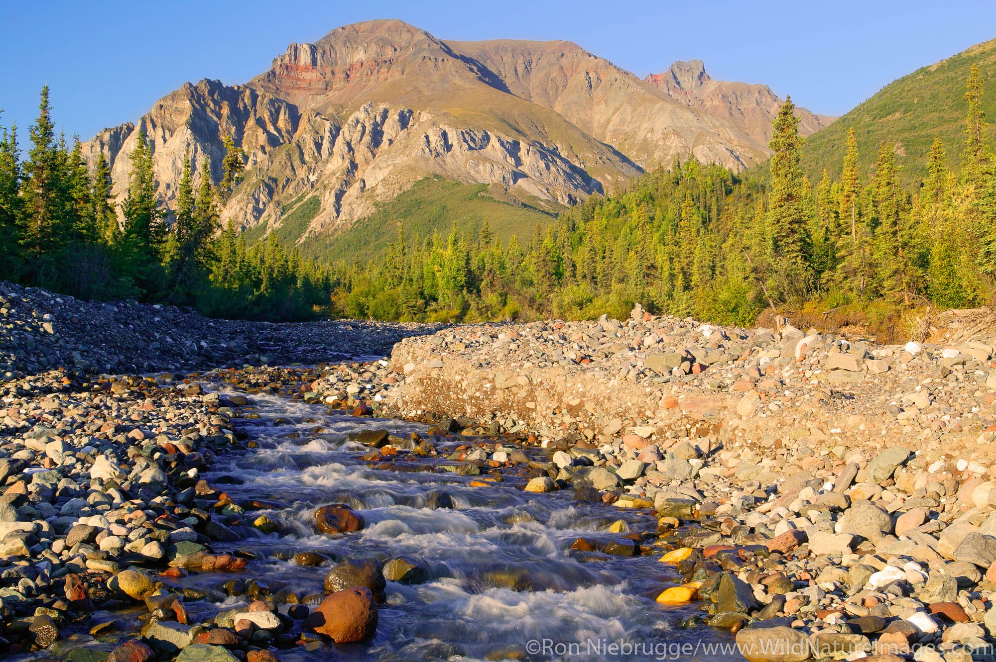 White Mountain and a creek along the Nabesna Road, Wrangell-St Elias National Park, Alaska.