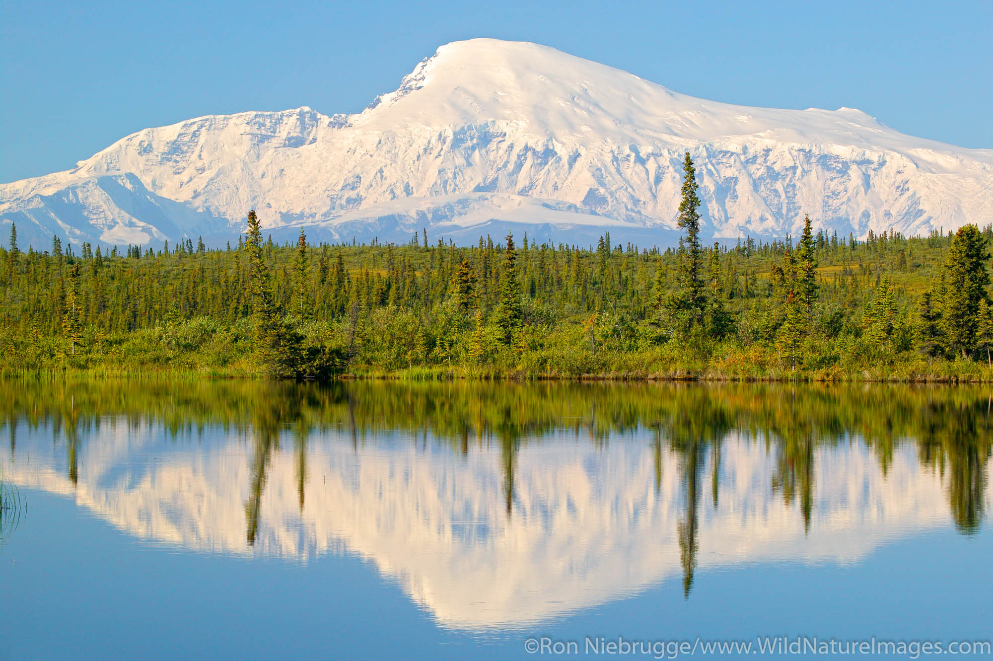 Mt. Sanford (16,237 feet) from Rock Lake along the Nabesna Road, Wrangell-St Elias National Park, Alaska.
