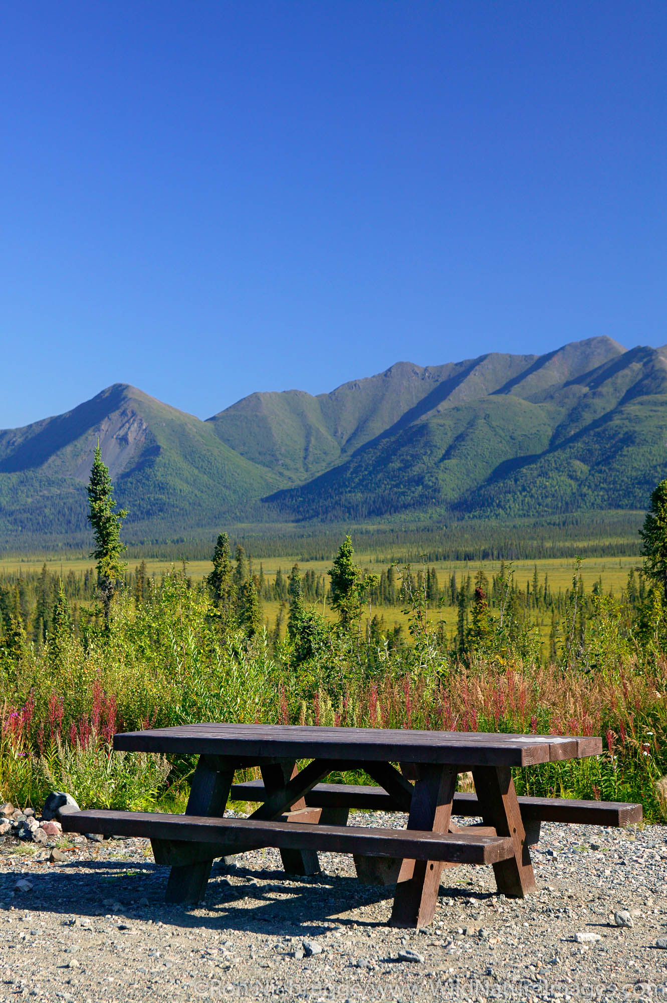 Dead Dog Hill Rest Area, Nabesna Road, Wrangell-St Elias National Park, Alaska.