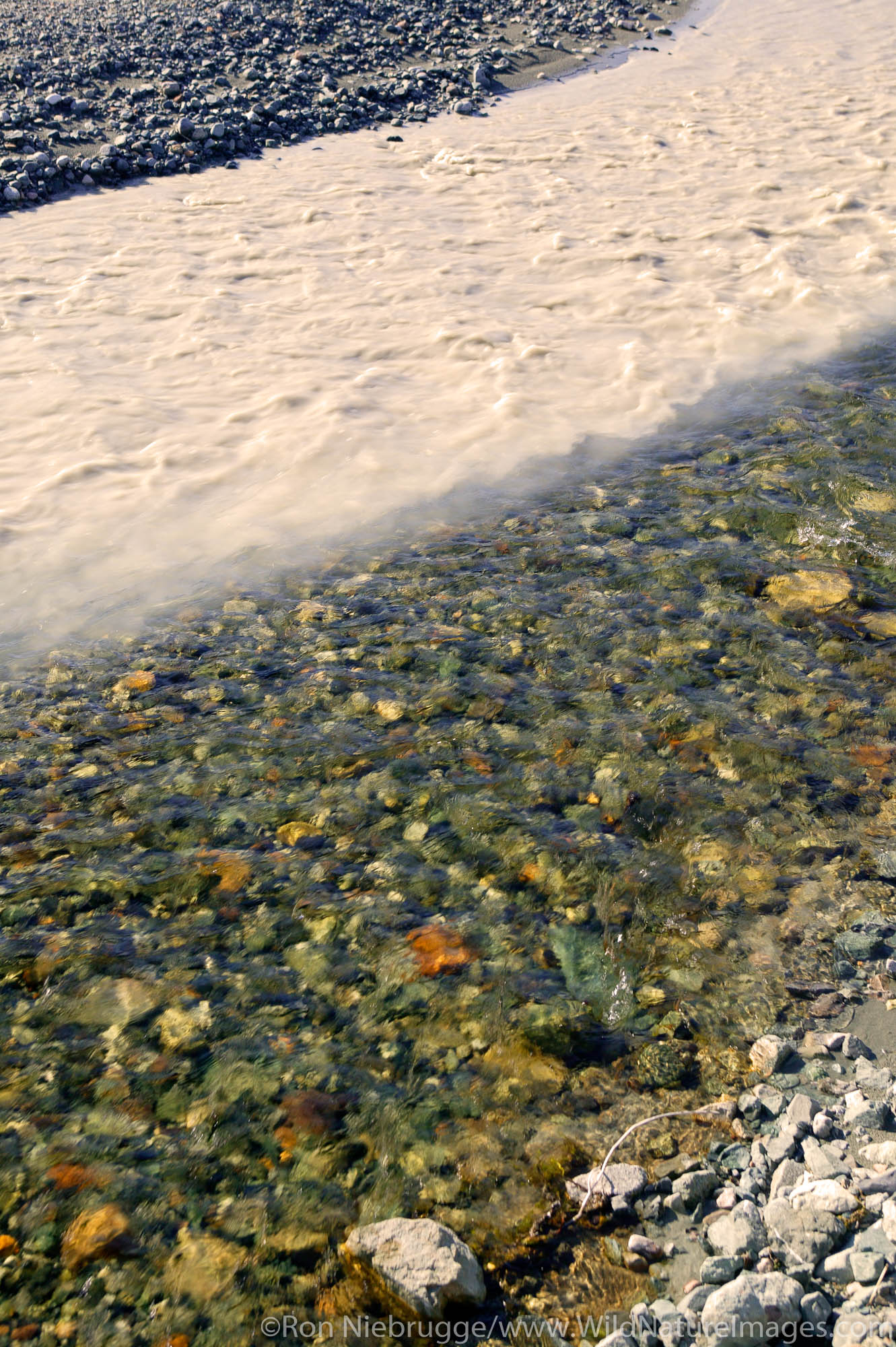 Water from a clear creek doesn't mix with the muddy glacier flour water. the Delta River, Alaska.