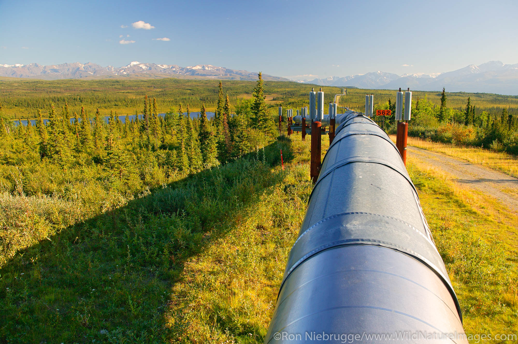 The Alaska Pipeline looking towards the Alaska Range, Alaska.