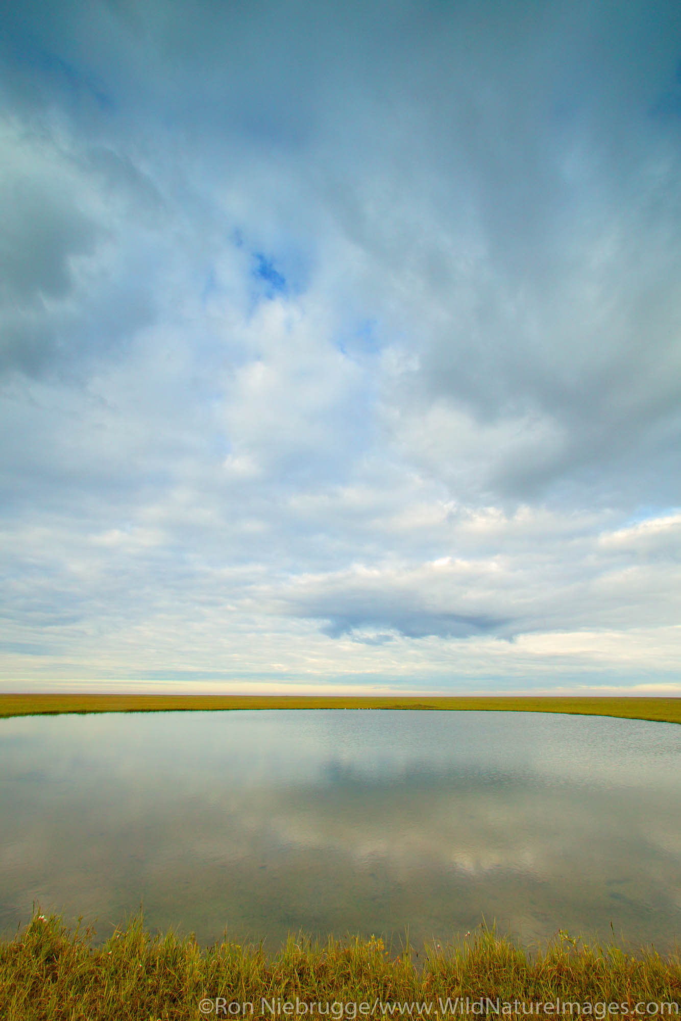 A lake on the arctic coastal plain near the Dalton Highway, Alaska.