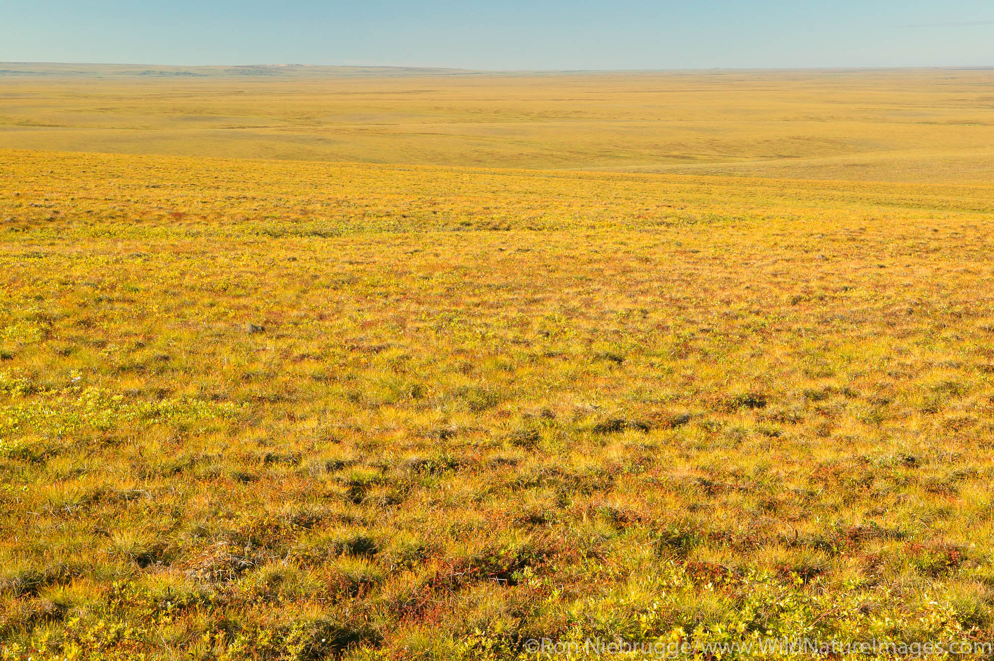 Looking down the north slope and onto the costal plain, Dalton Highway, Alaska.