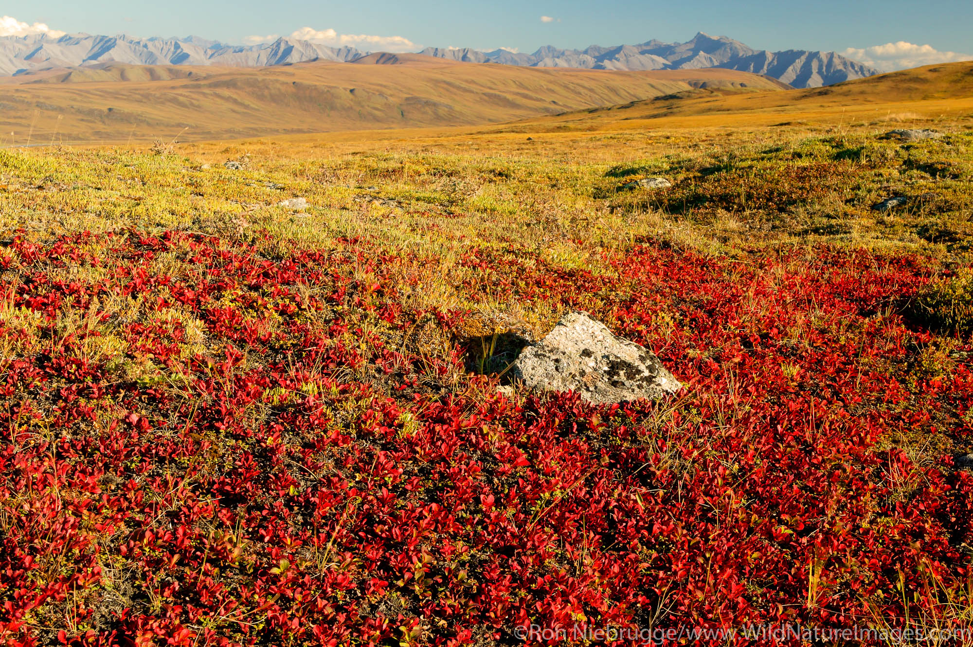 The Arctic National Wildlife Refuge and the Philip Smith Mountains of the Brooks Range, Alaska.