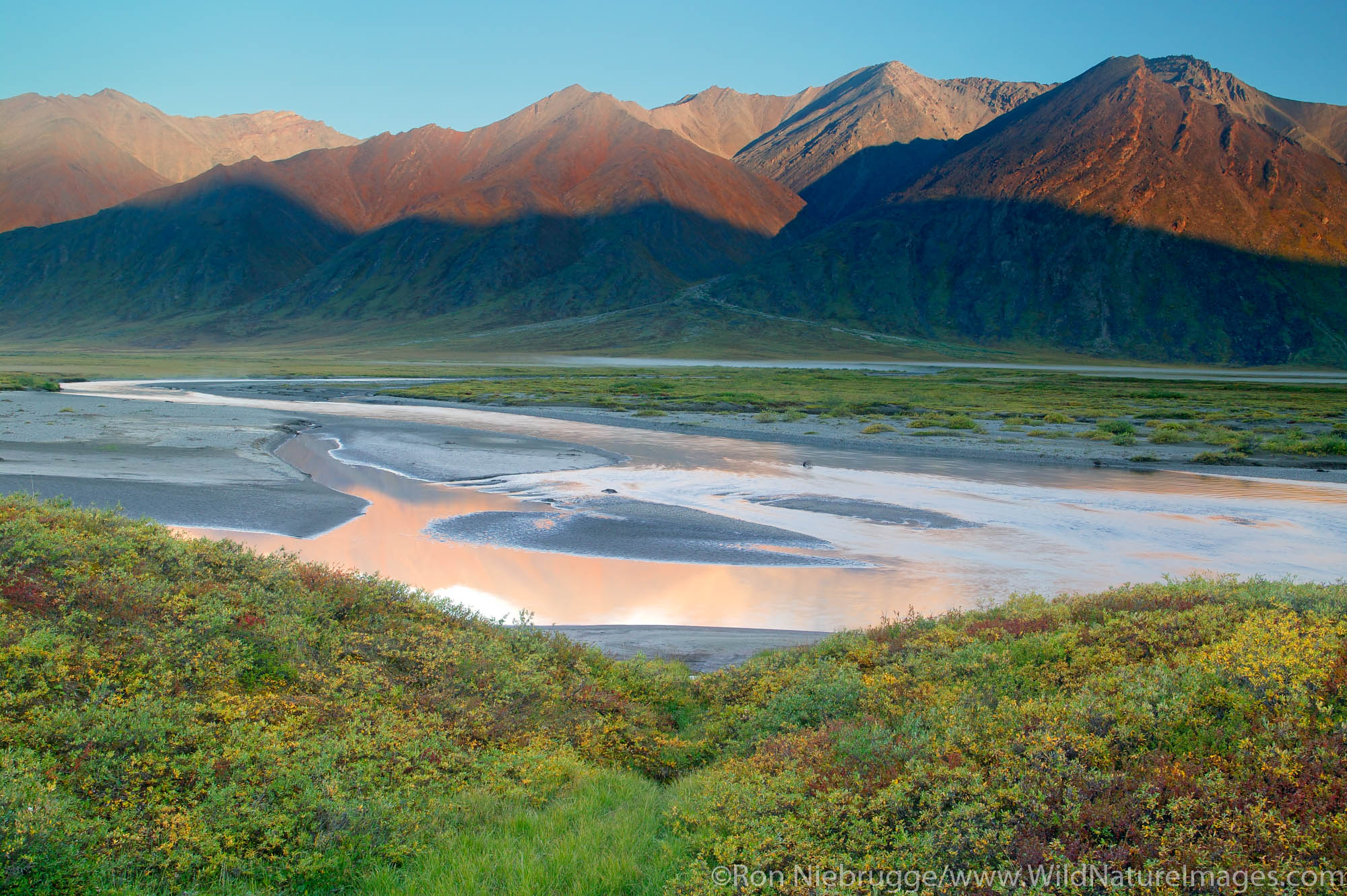 Looking across the Atigun River Valley at the Endicott Mountains of the Brooks Range and the eastern boundary of the Gates of...