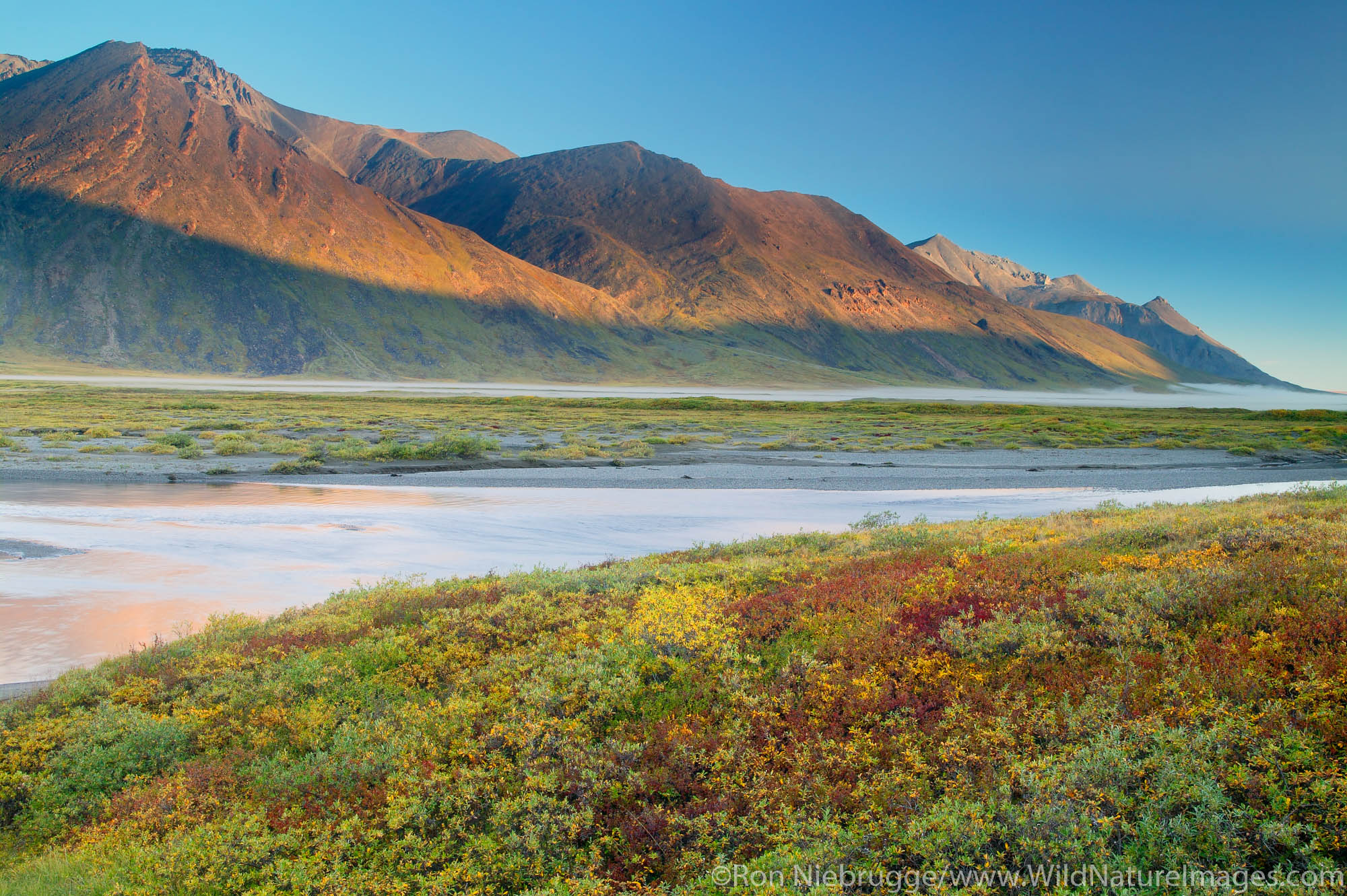 Looking across the Atigun River Valley at the Endicott Mountains of the Brooks Range and the eastern boundary of the Gates of...