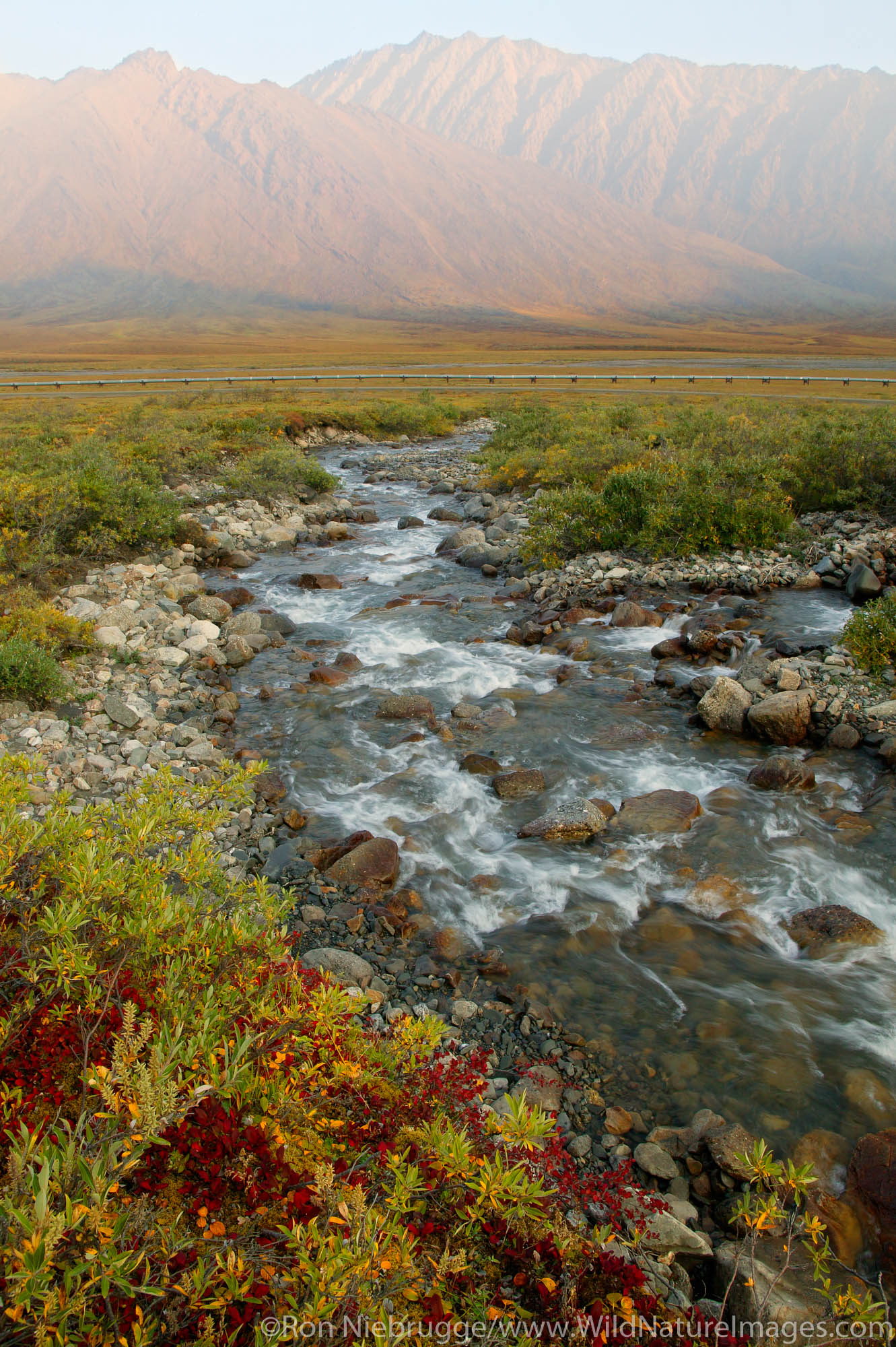 Trevor Creek flows through the Brooks Range and the Philip Smith Mountains along the western boundary of the Arctic National...