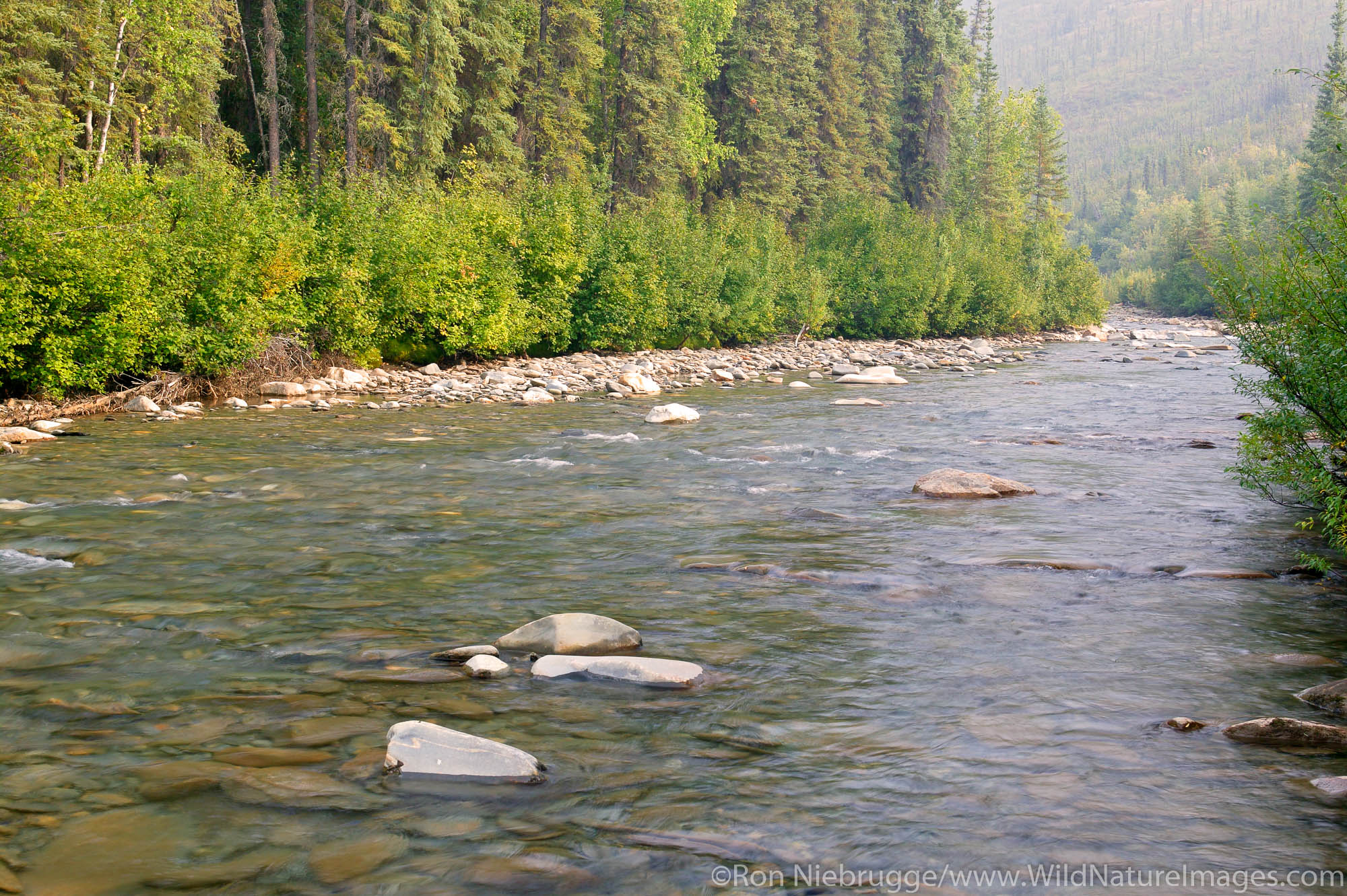 Marion Creek in the Brooks Range from near the Dalton Highway, Coldfoot, Alaska.