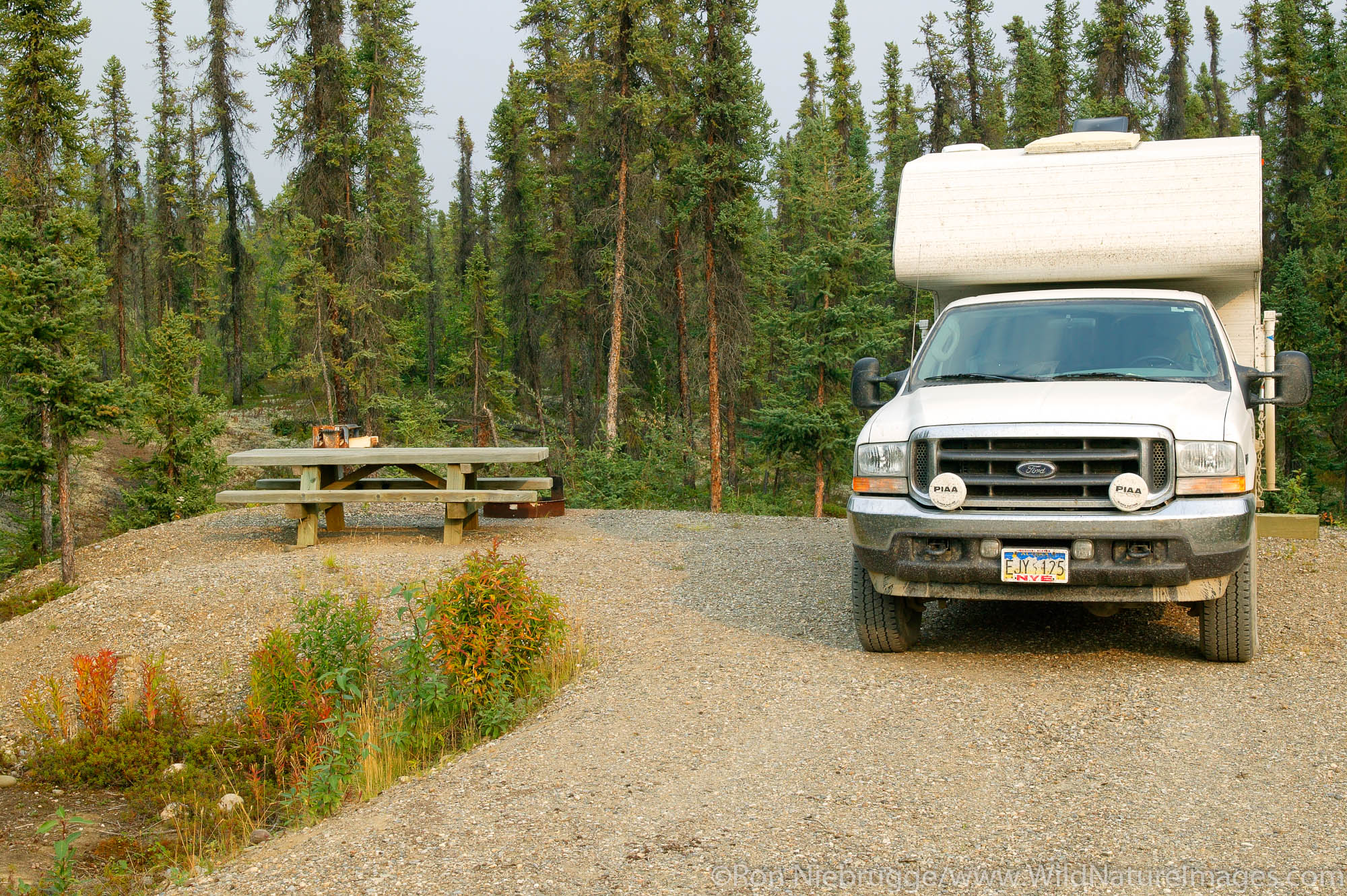 Marion Creek Campground in the Brooks Range from near the Dalton Highway, Coldfoot, Alaska.
