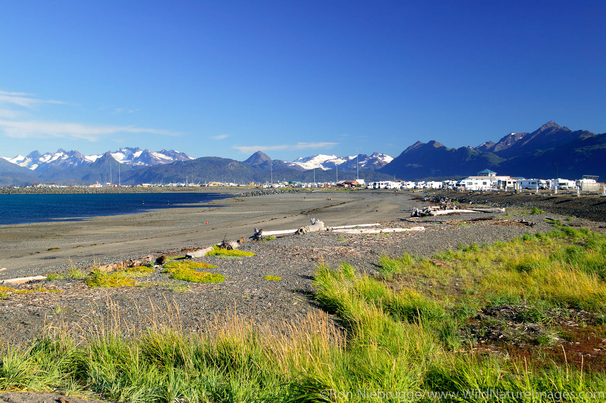 Camping on the shore of Kachemak Bay, Homer, Alaska.