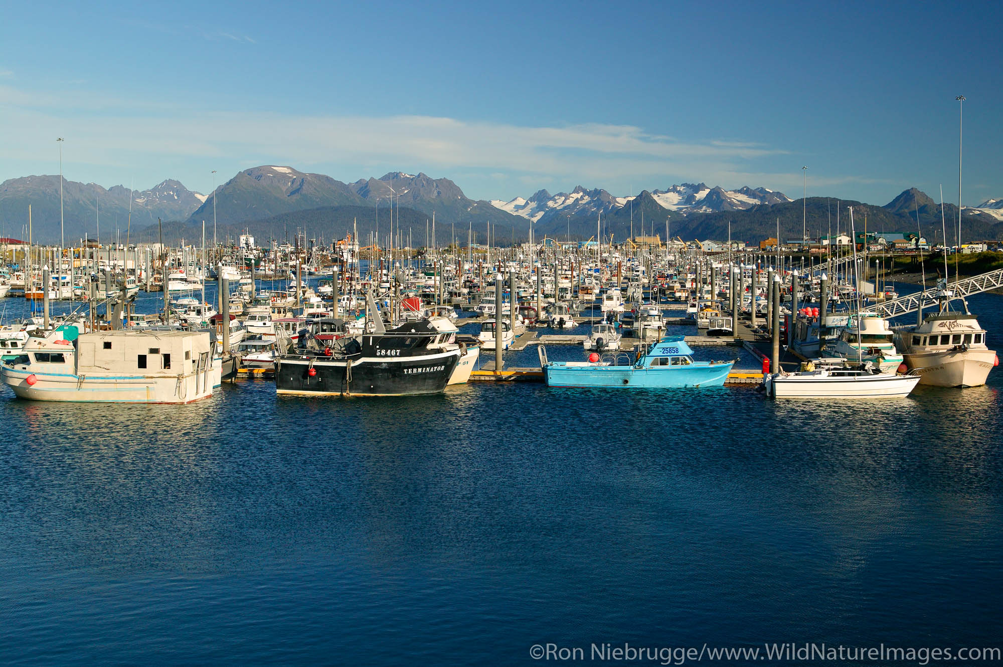 The small boat harbor, Kachemak Bay, Homer, Alaska.