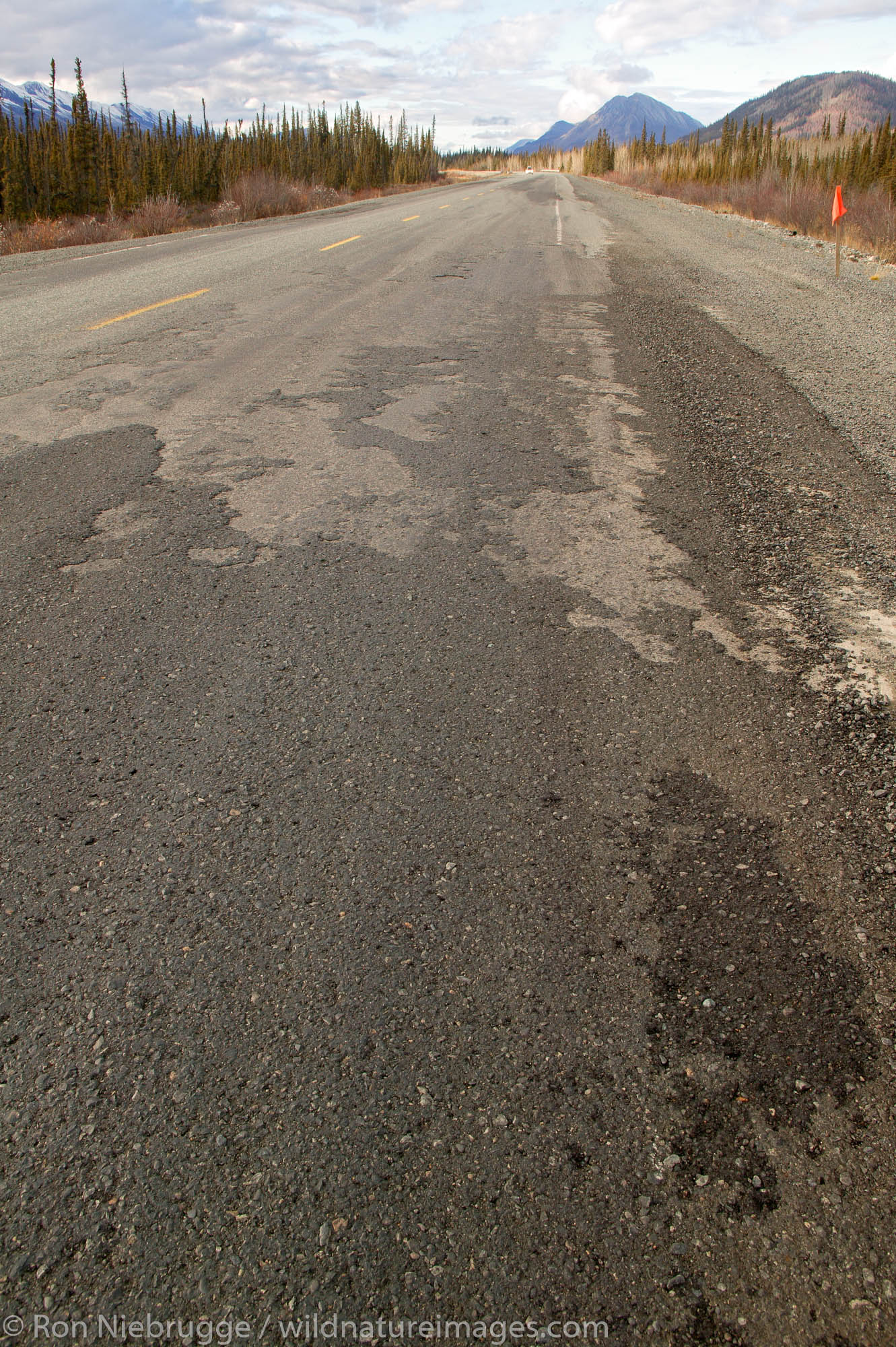 Road damage on the Alaska Highway from the thawing of the permafrost, Yukon Territory, Canada.