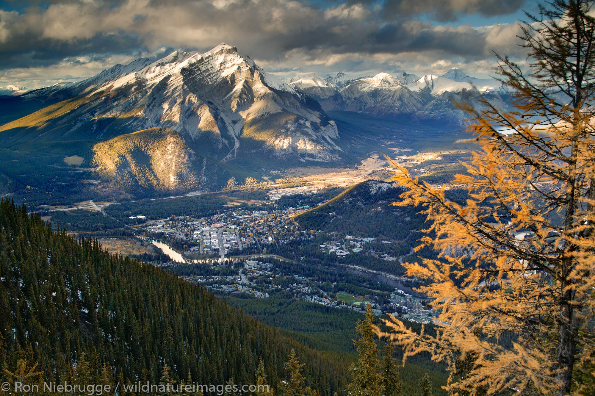 The town of Banff viewed from the Banff Gondola, Banff National Park, Alberta, Canada.