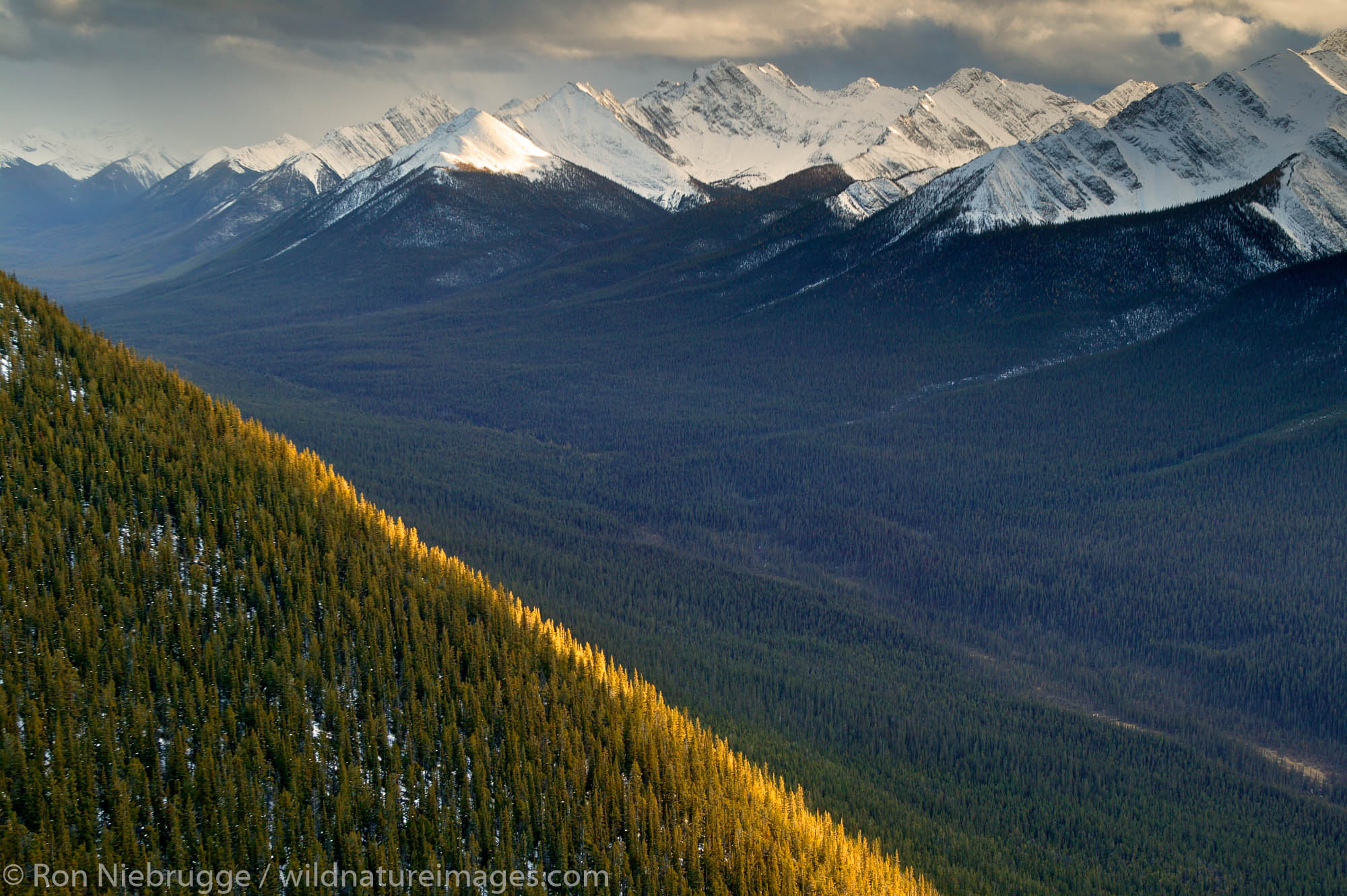 View from the top of the Banff Gondola, Banff National Park, Alberta, Canada.