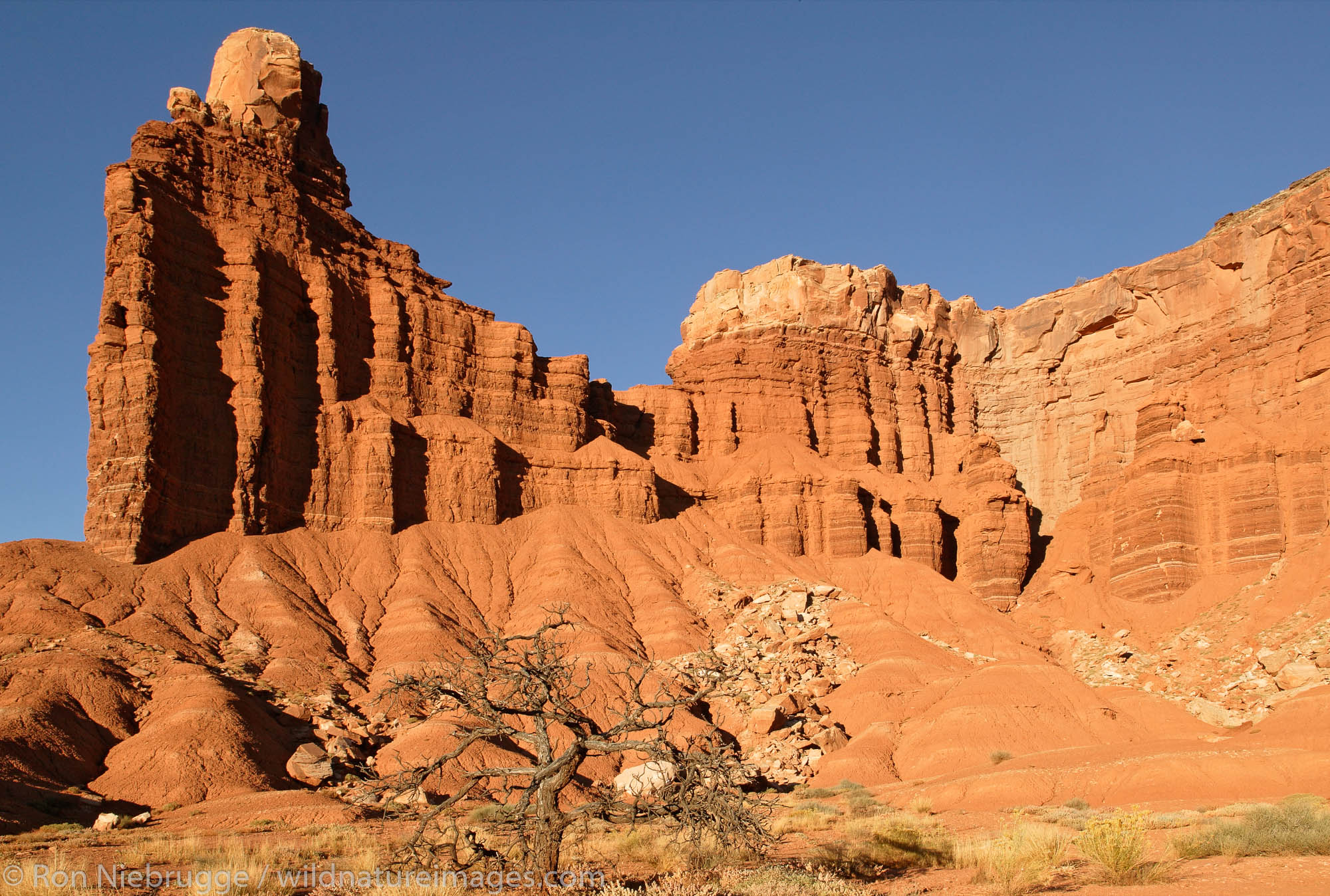 Chimney Rock, Capital Reef National Park, Utah.