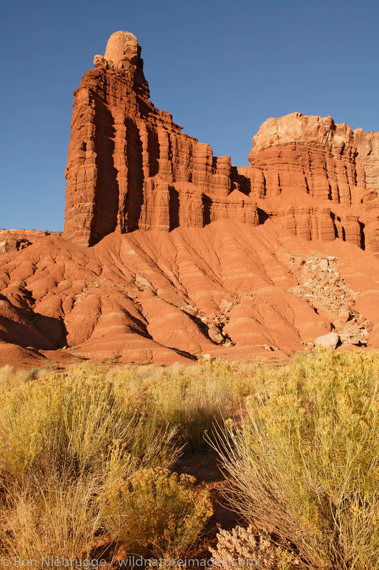 Chimney Rock, Capital Reef National Park, Utah.