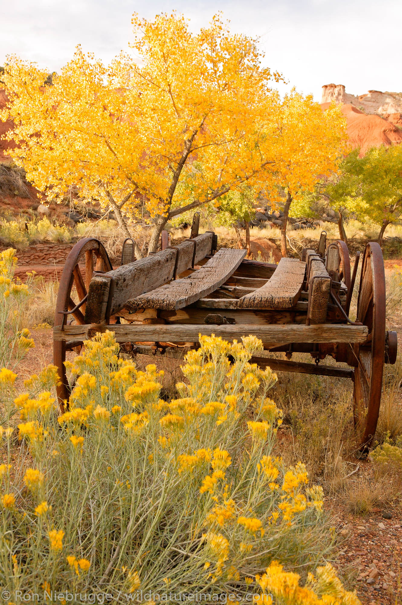 Historic farm equimpment in the old Mormon community of Fruita which was known for its apple orchards, Capital Reef National...